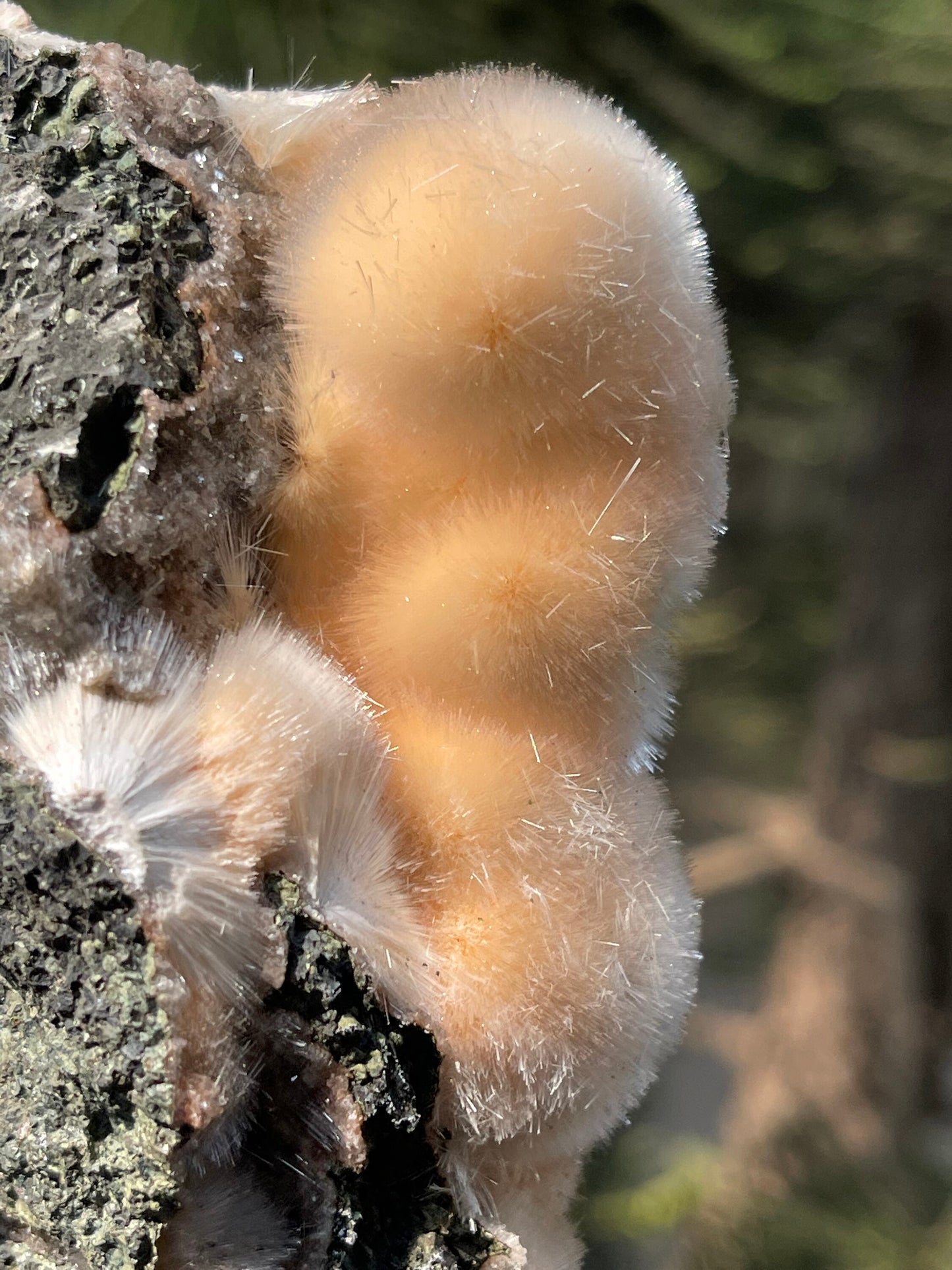 Natural orange mesolite new find