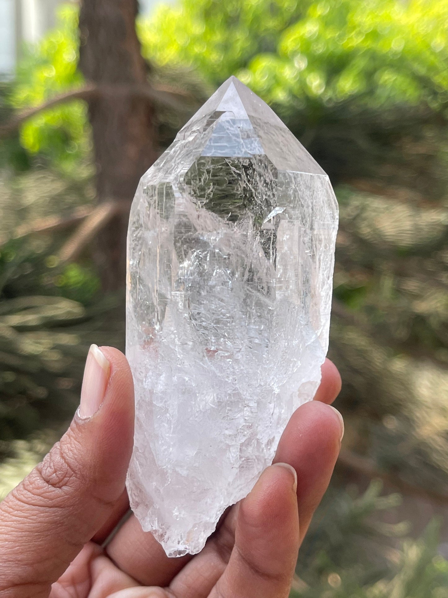 Water clear Himalayan quartz crystal with black rutile Himachal Pradesh kullu