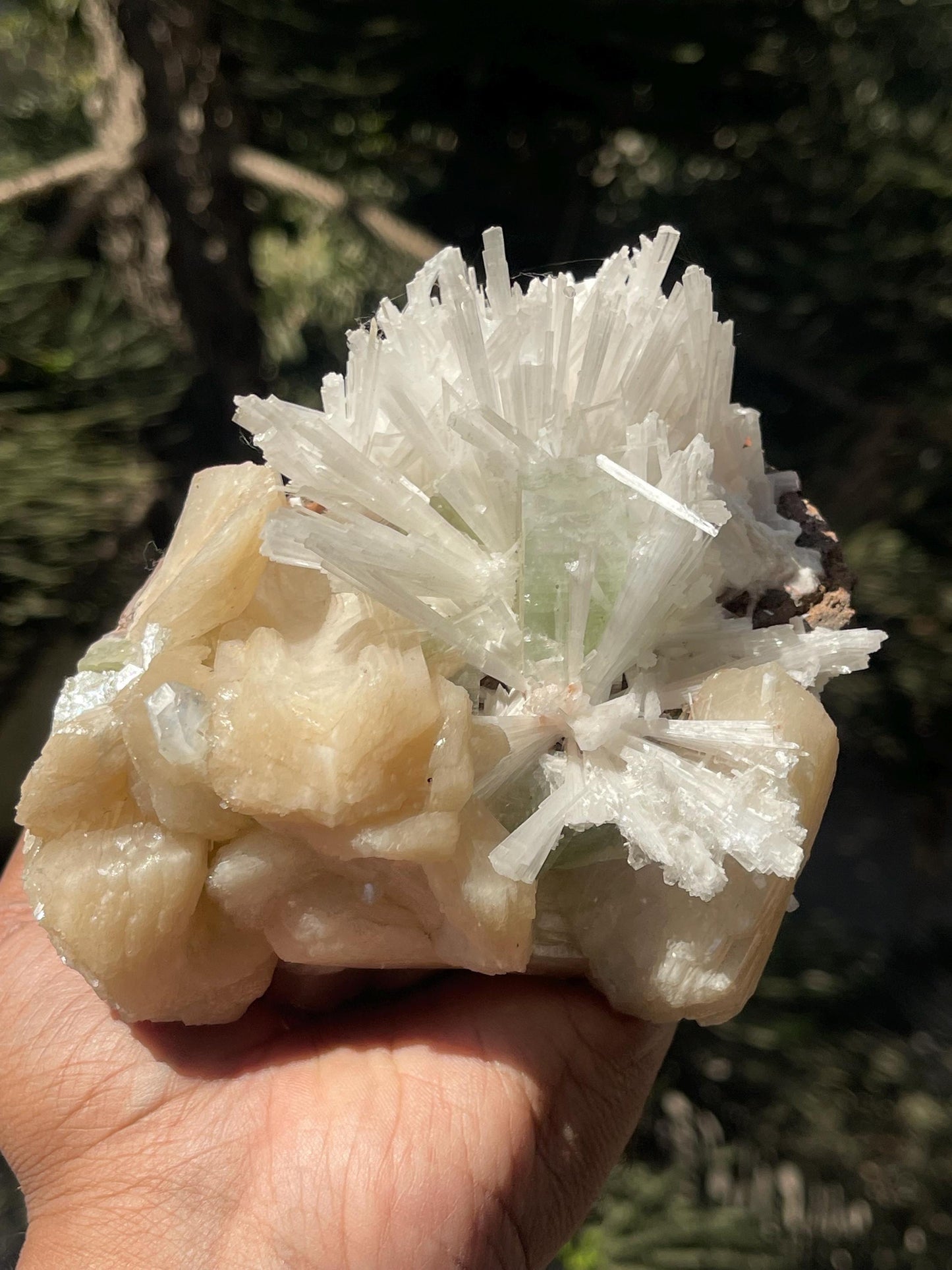 Green Apophyllite crystal  on Scolecite Flower with Peach Stilbite