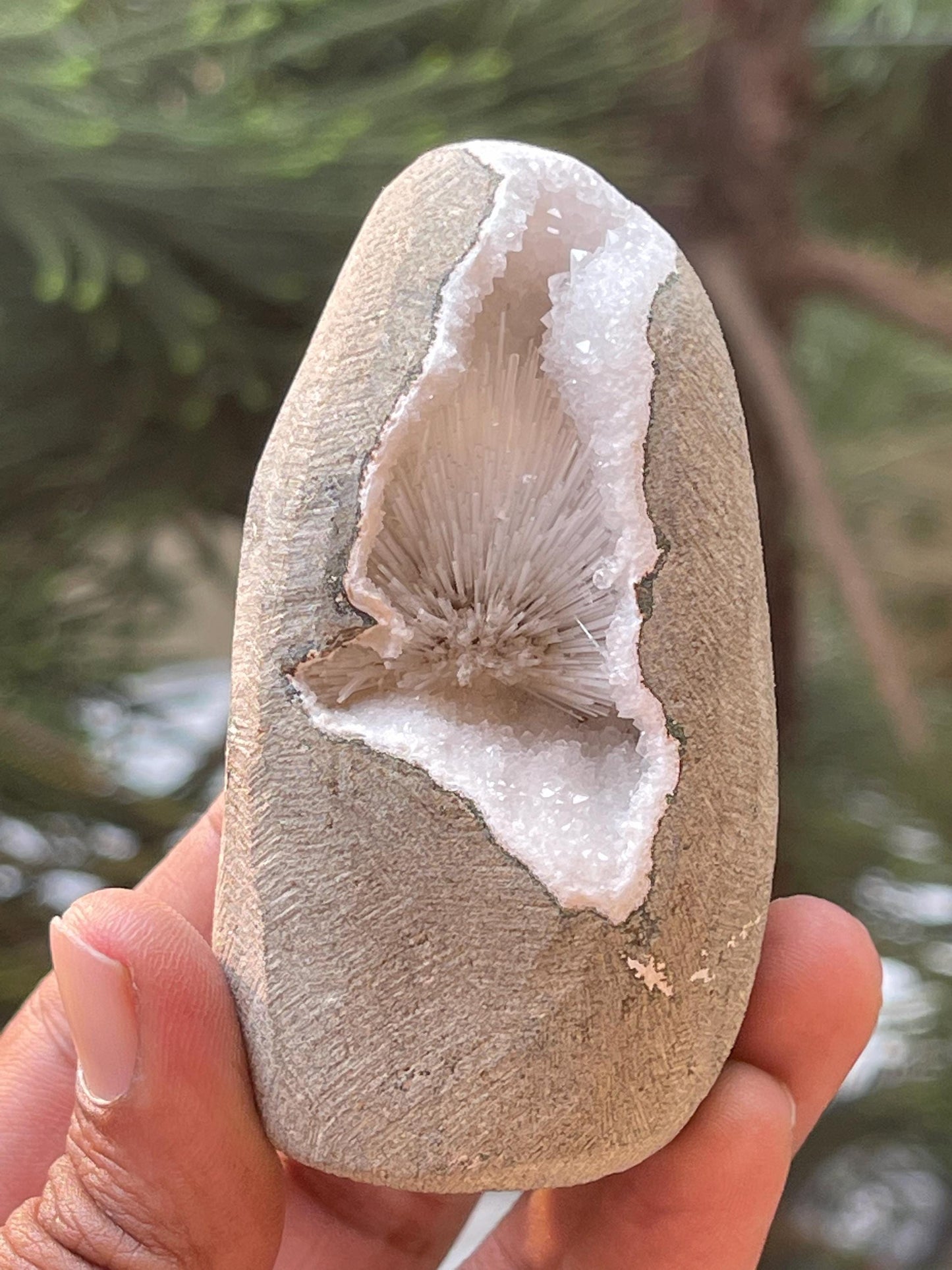 Scolecite flower inside geode