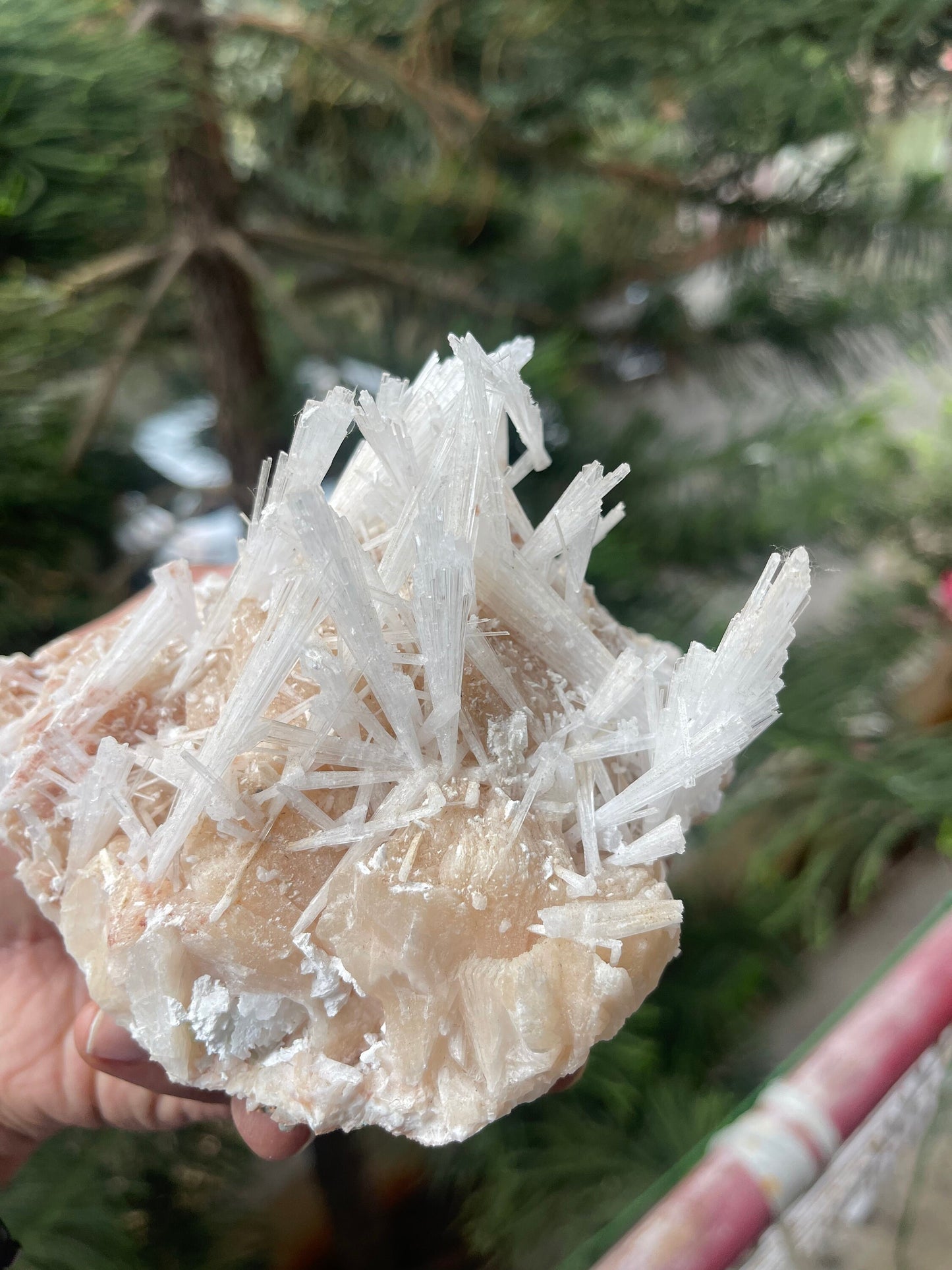 Scolecite spray on stilbite mineral