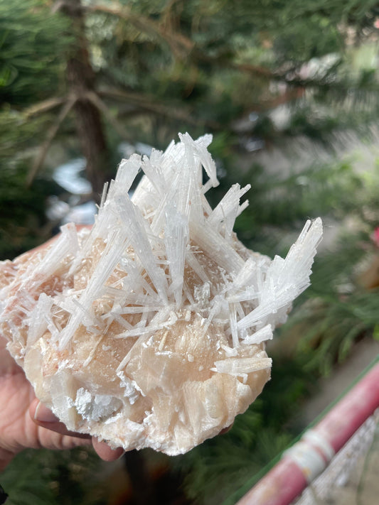 Scolecite spray on stilbite mineral