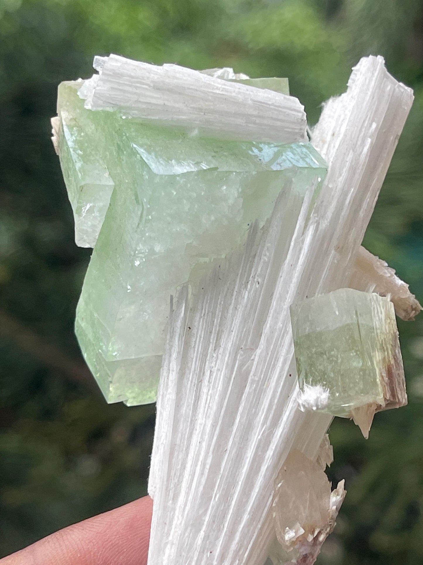 Green apophyllite crystal on scolecite spray natural specimen