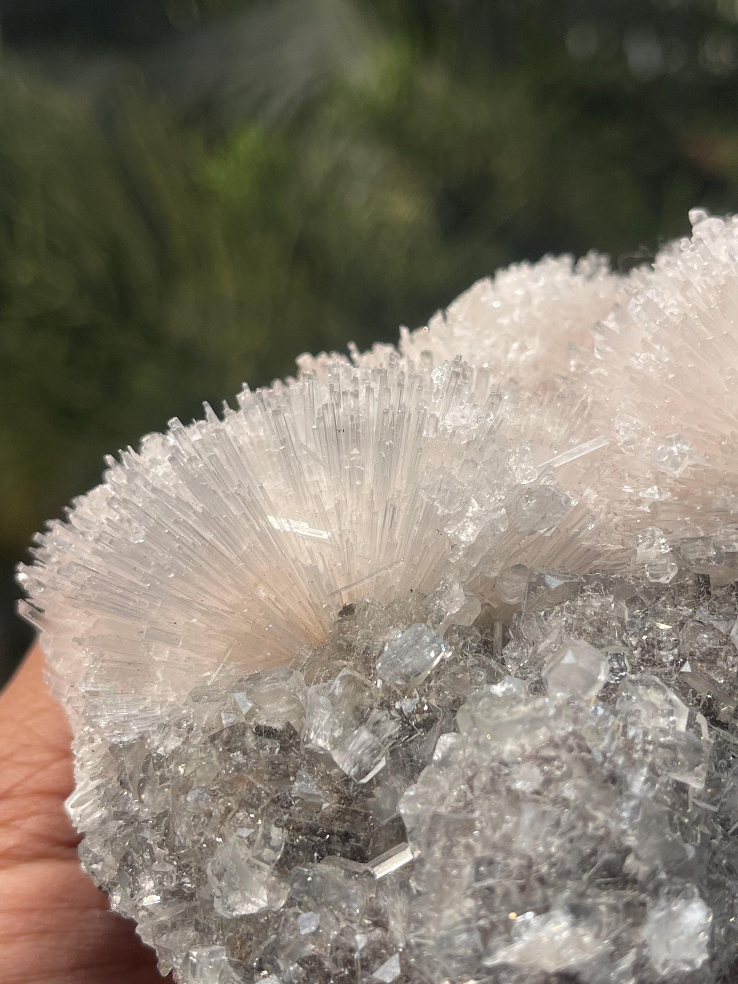 Glossy Apophyllite crystals on scolecite flower
