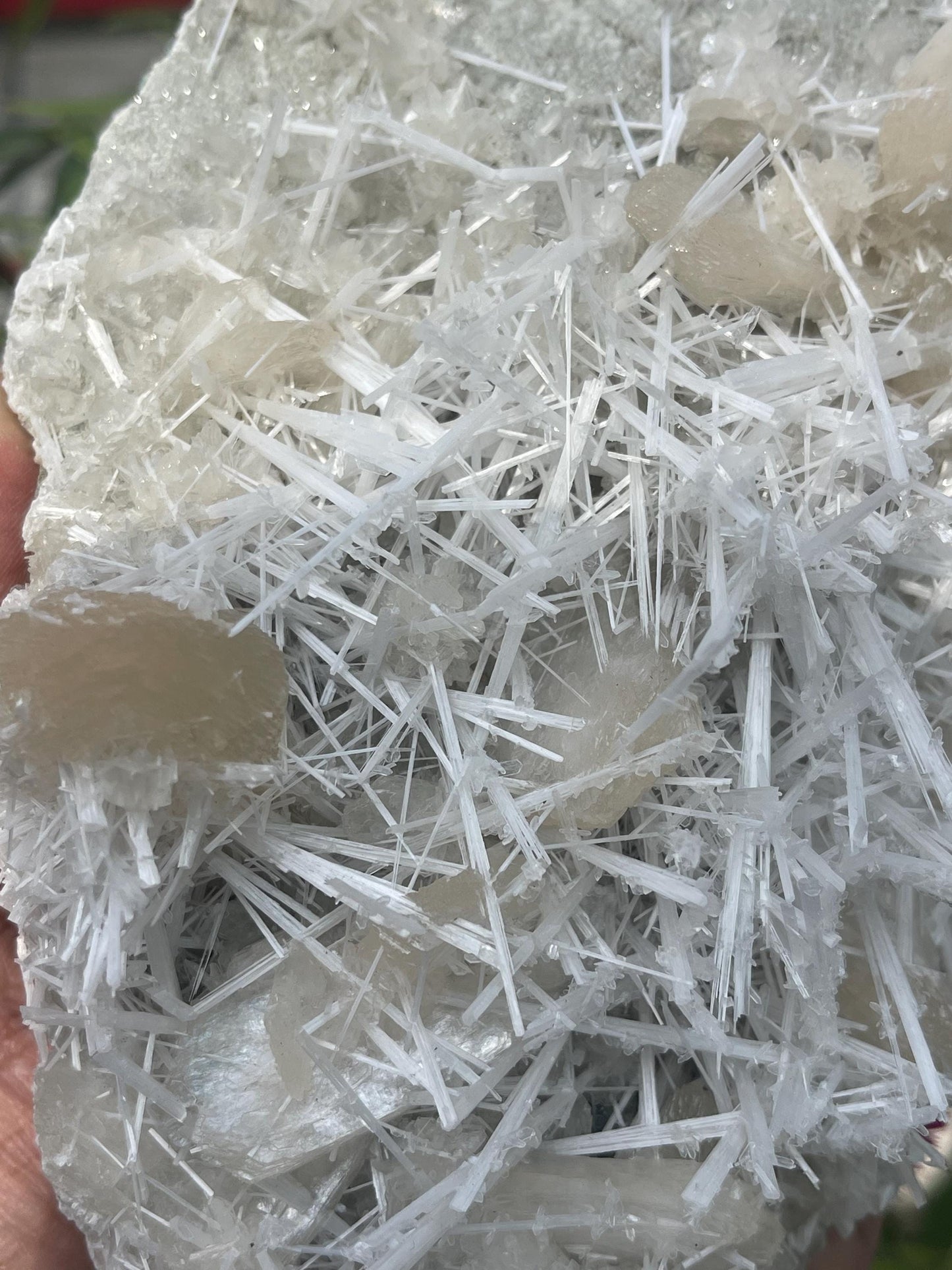 Glossy scolecite spray with stilbite on chalcedony matrix