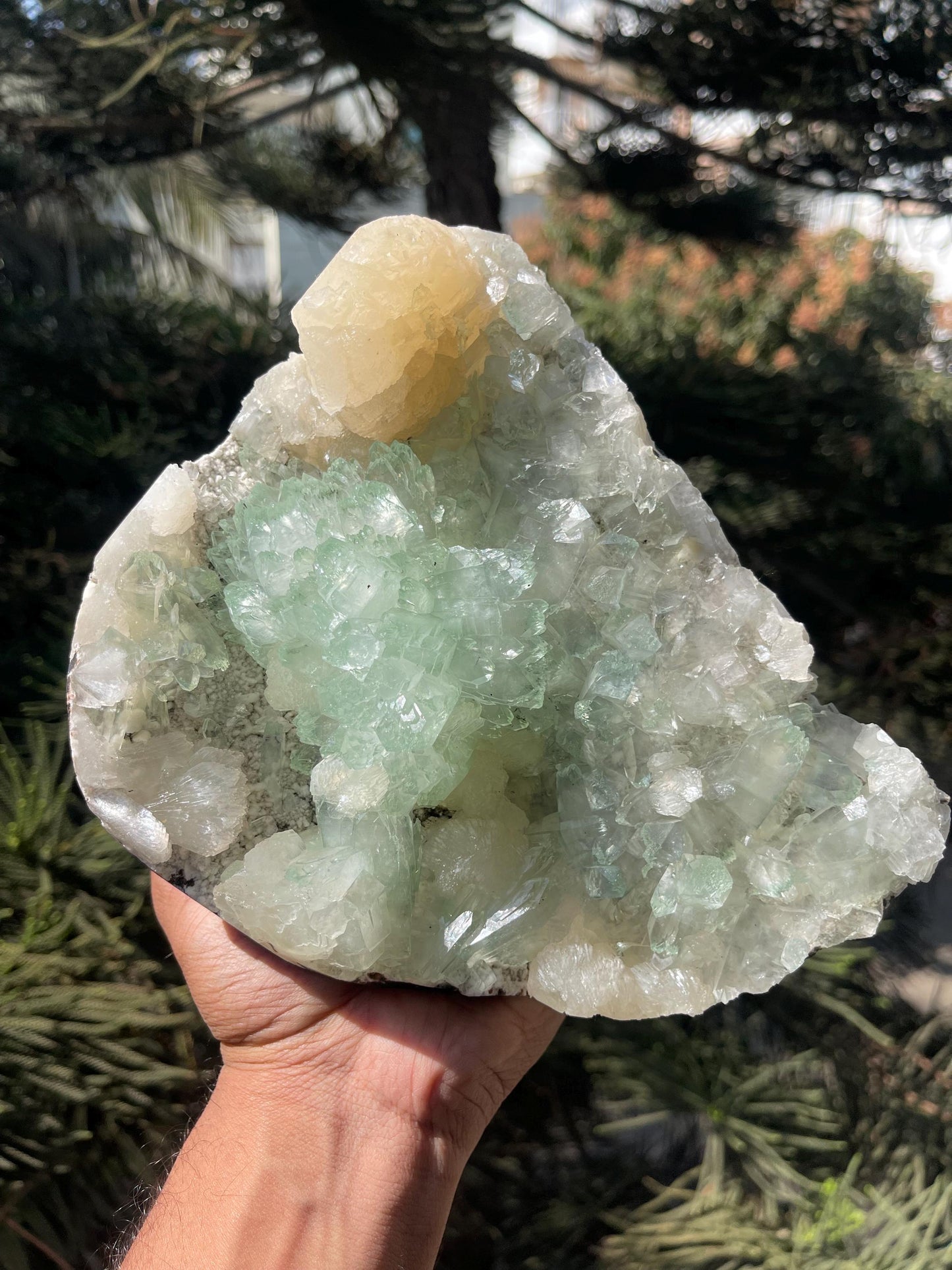 light green apophyllite flower with stilbite