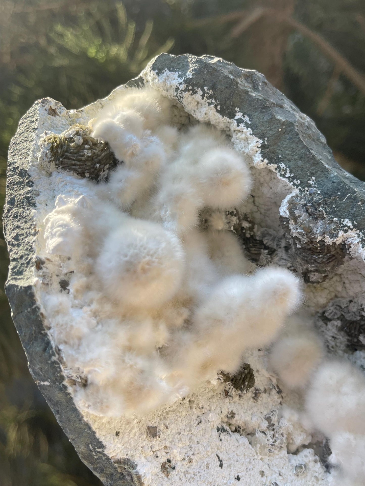 multiple okenite balls inside geode