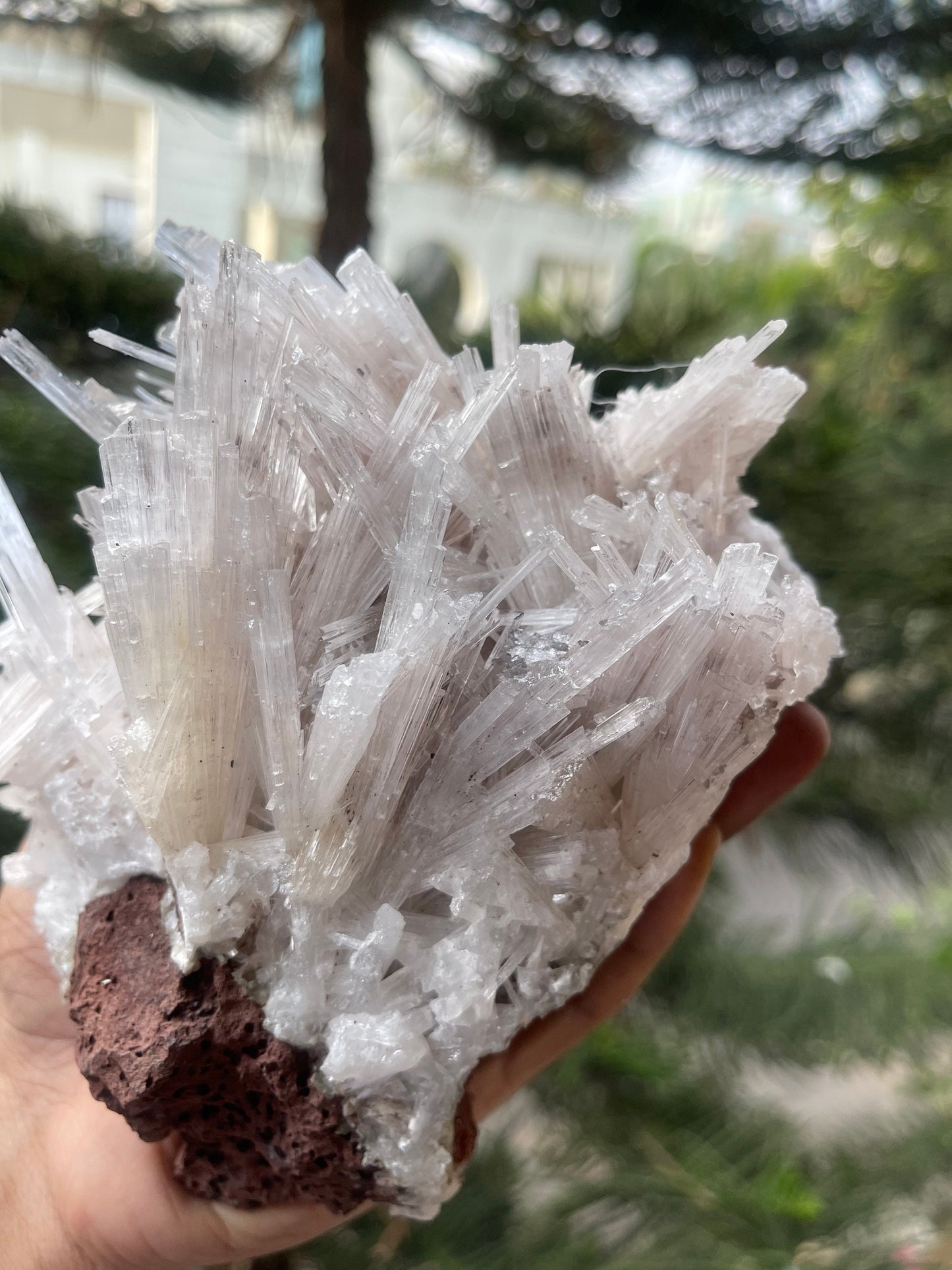 Natural scolecite spray on matrix