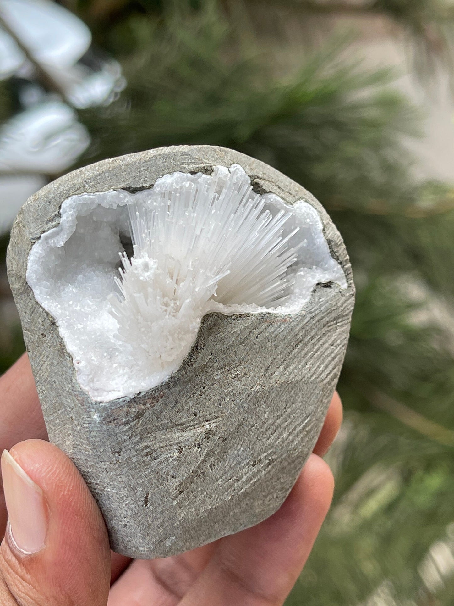 Scolecite flower inside geode