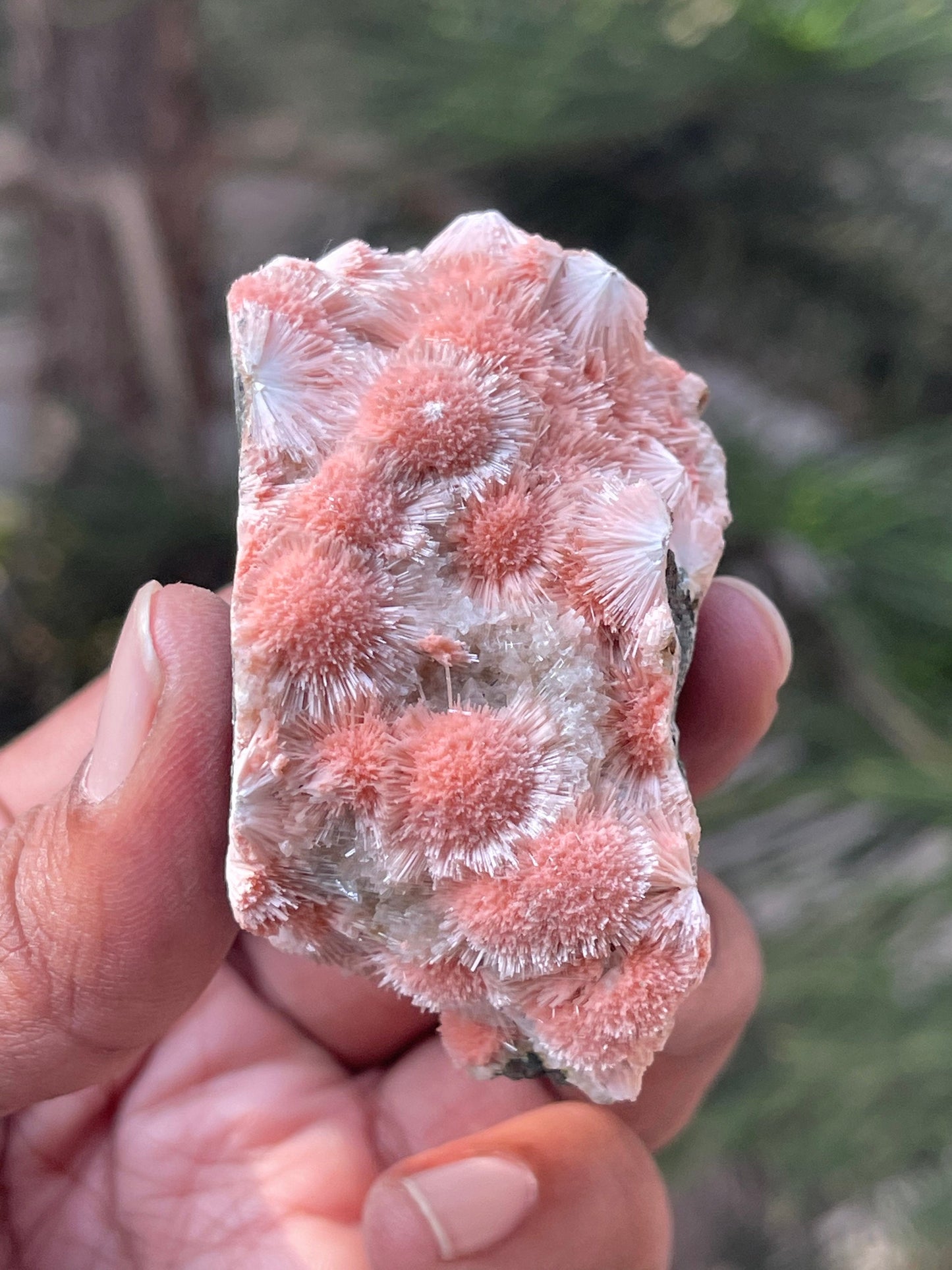 Multiple orange mesolite crystal