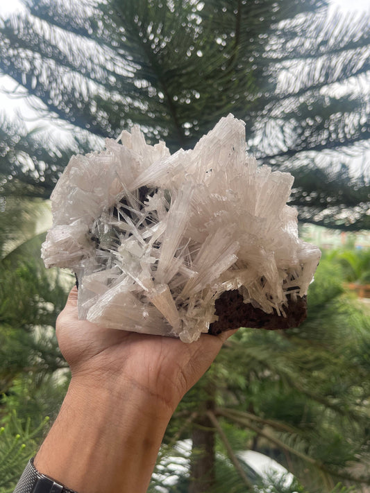 Scolecite spray on matrix with green apophyllite