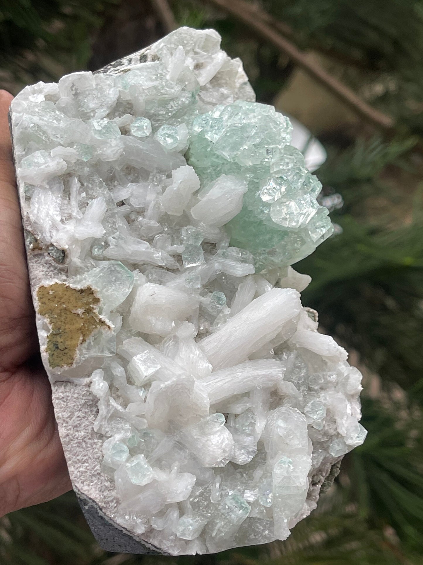 Green apophyllite crystals with stilbite