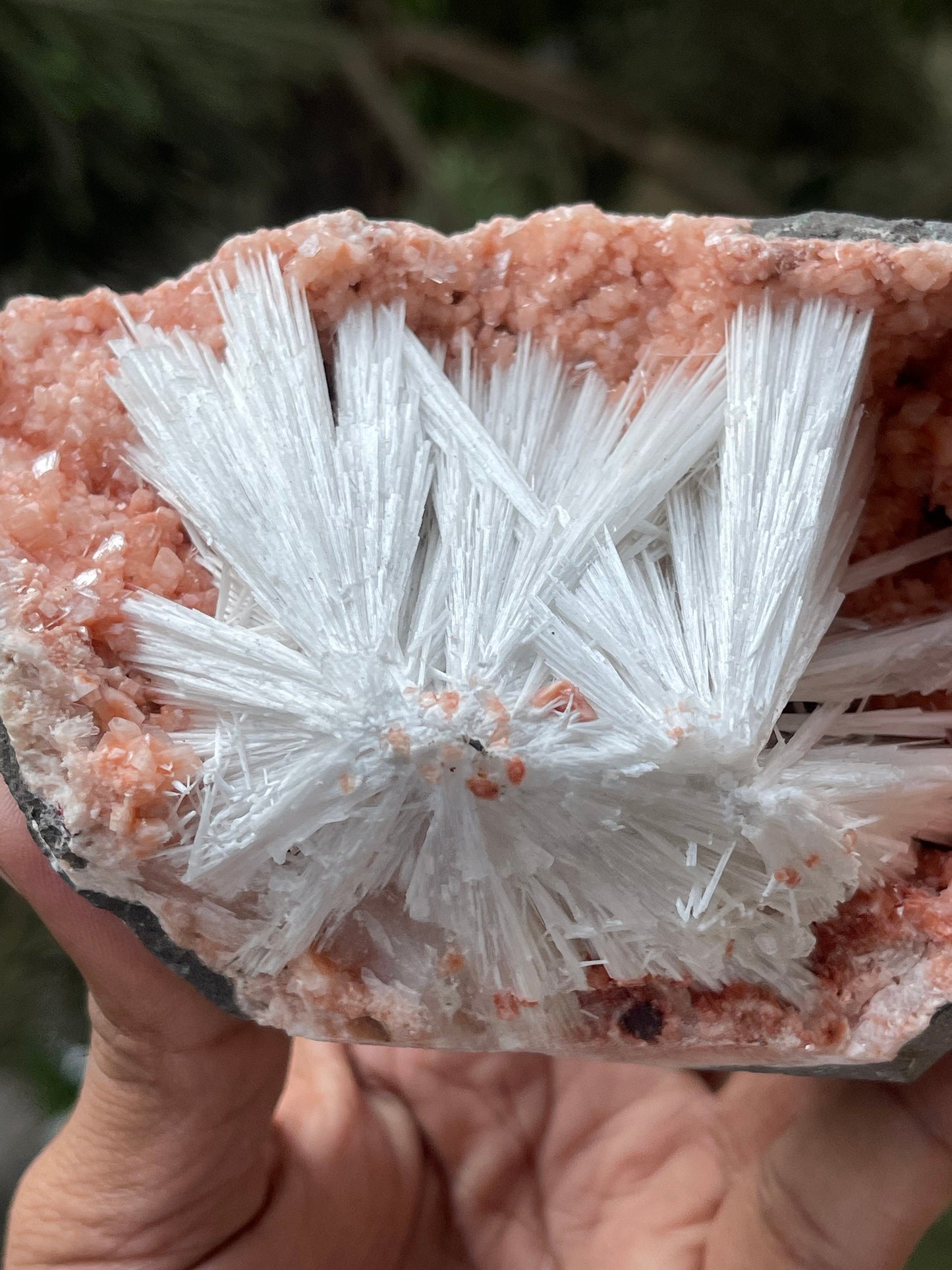 Scolecite sprays on orange heulandite matrix