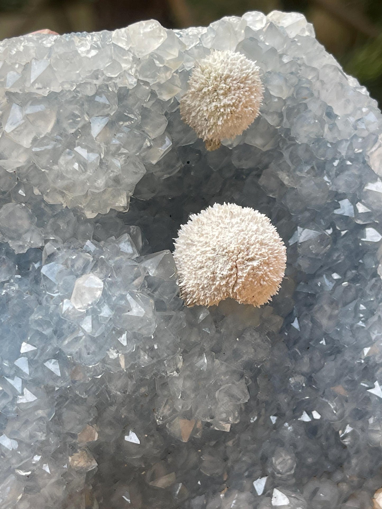Twin okenite ball on blue quartz