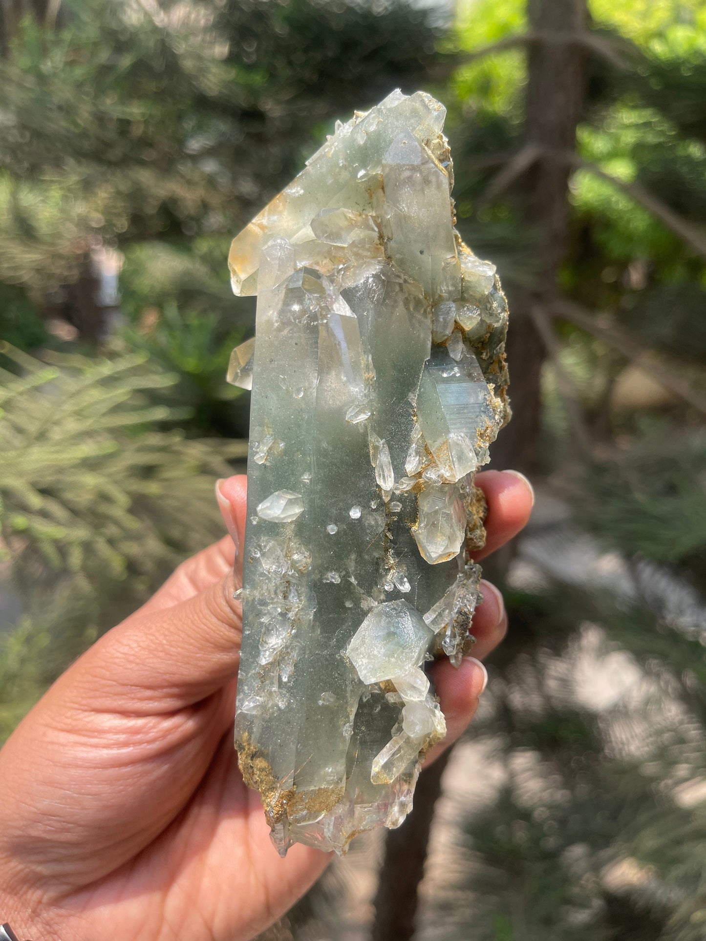 Himalayan quartz, double terminated crystal with chlorite