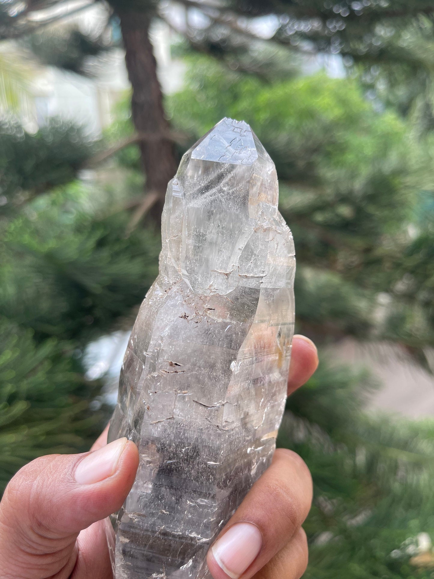 Double terminated Himalayan quartz floater