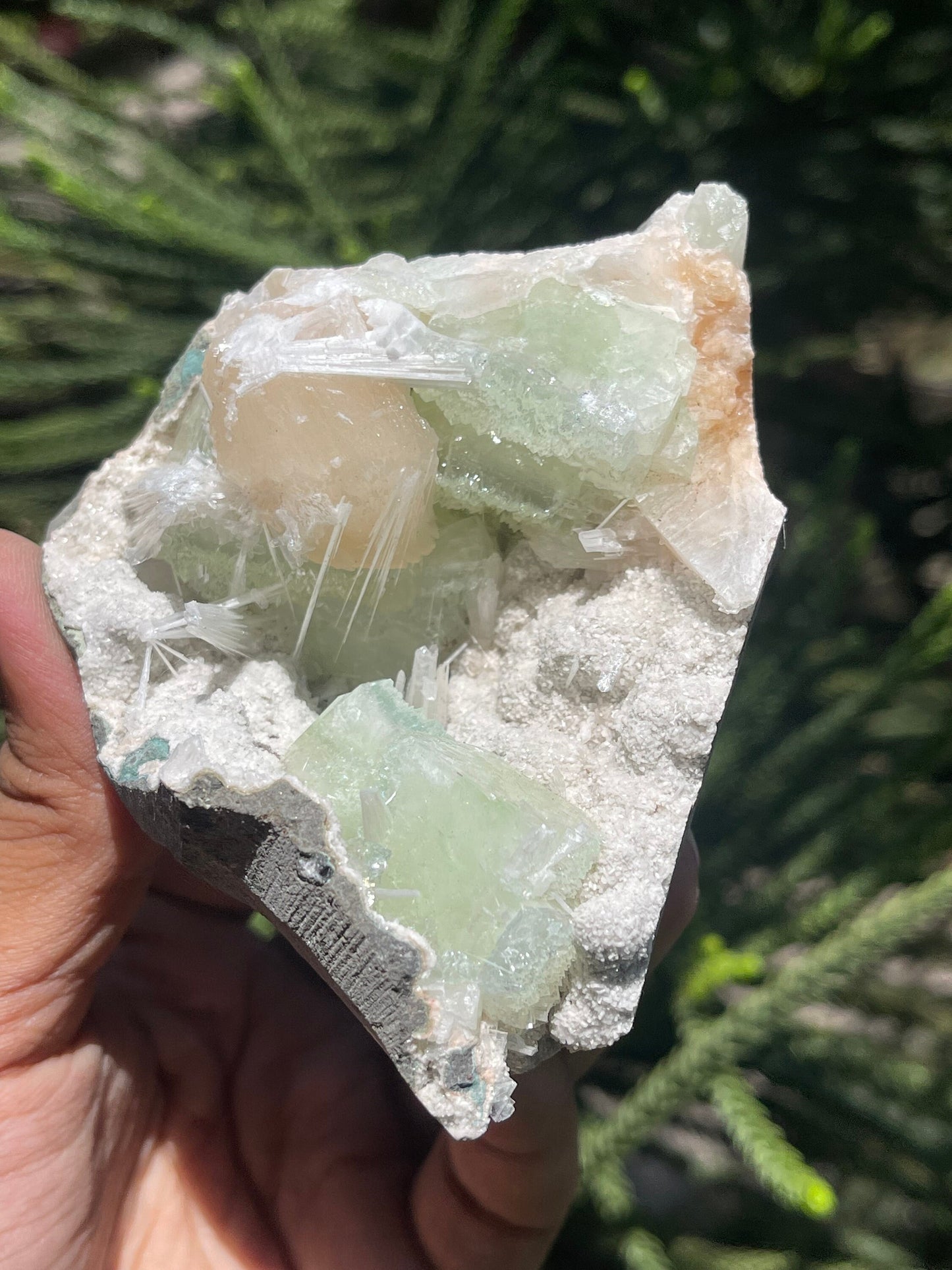 Green apophyllite crystal with stilbite/scolecite