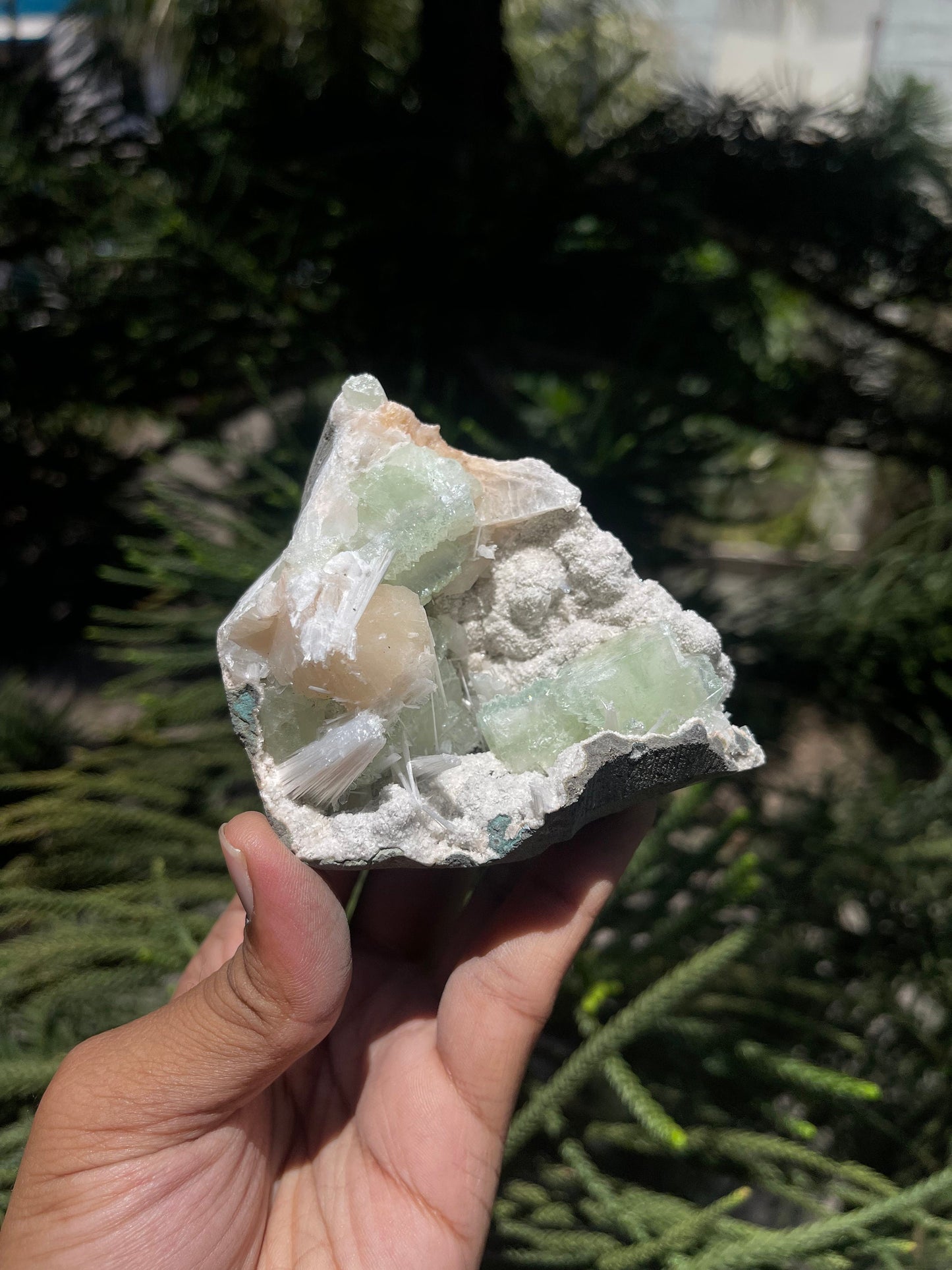 Green apophyllite crystal with stilbite/scolecite