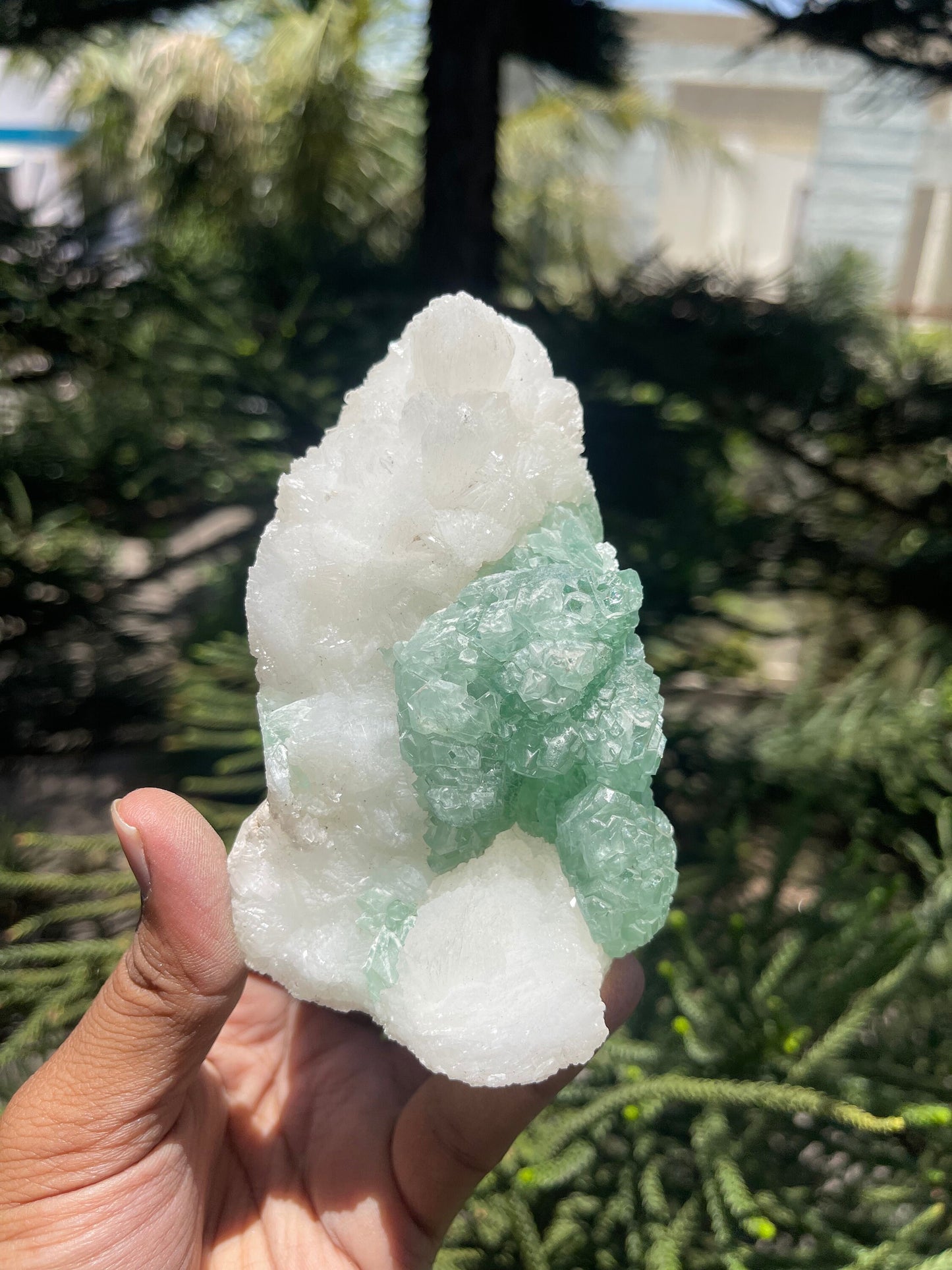 Green apophyllite flower with glossy stilbite natural specimens