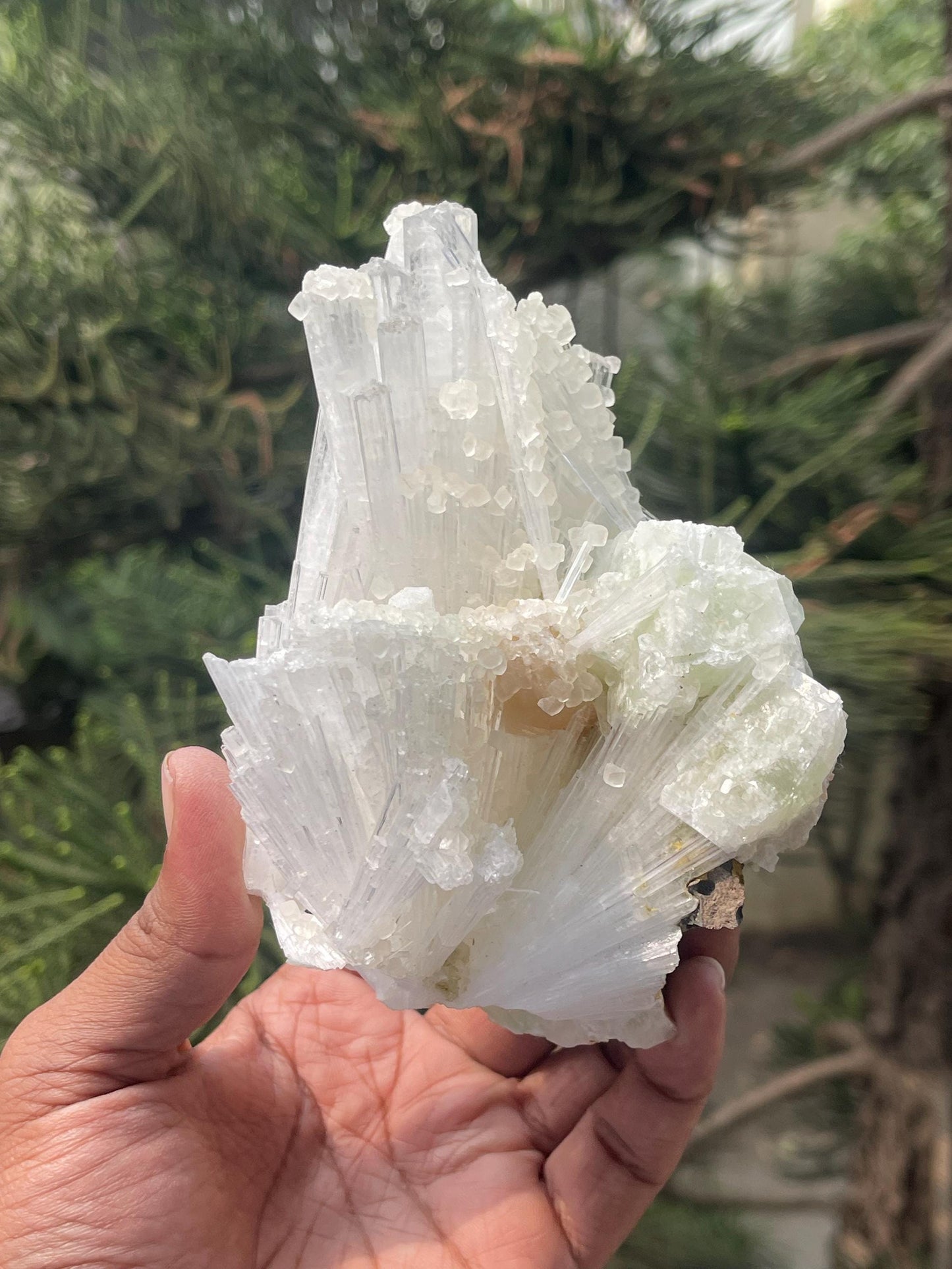 Combination of calcite/stilbite/green apophyllite on scolecite crystal
