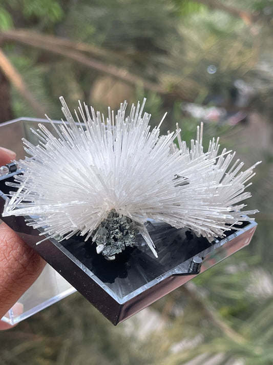 Perfect formation of scolecite flowers on matrix