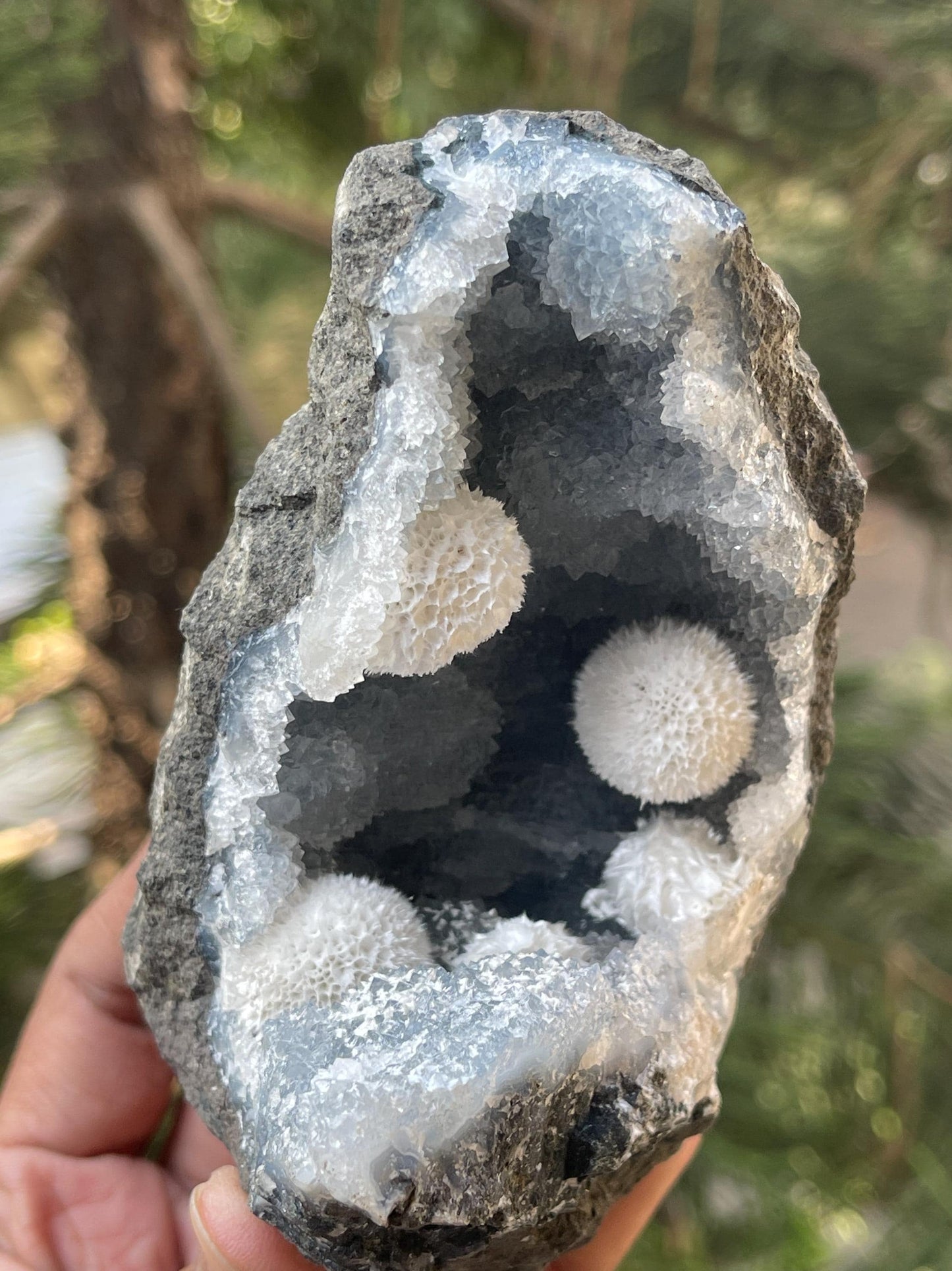 Multiple okenite ball on blue chalcedony quartz