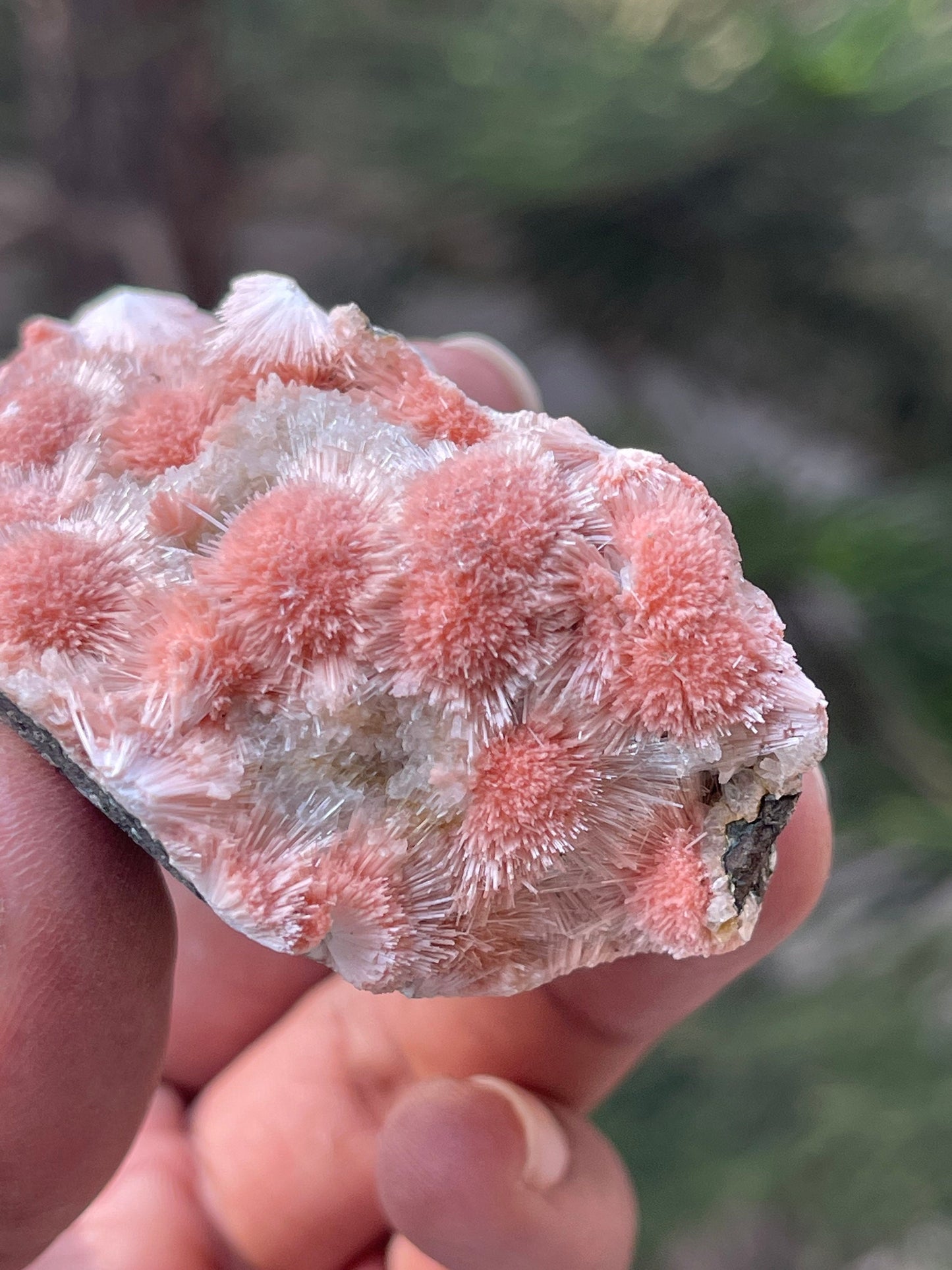 Multiple orange mesolite crystal