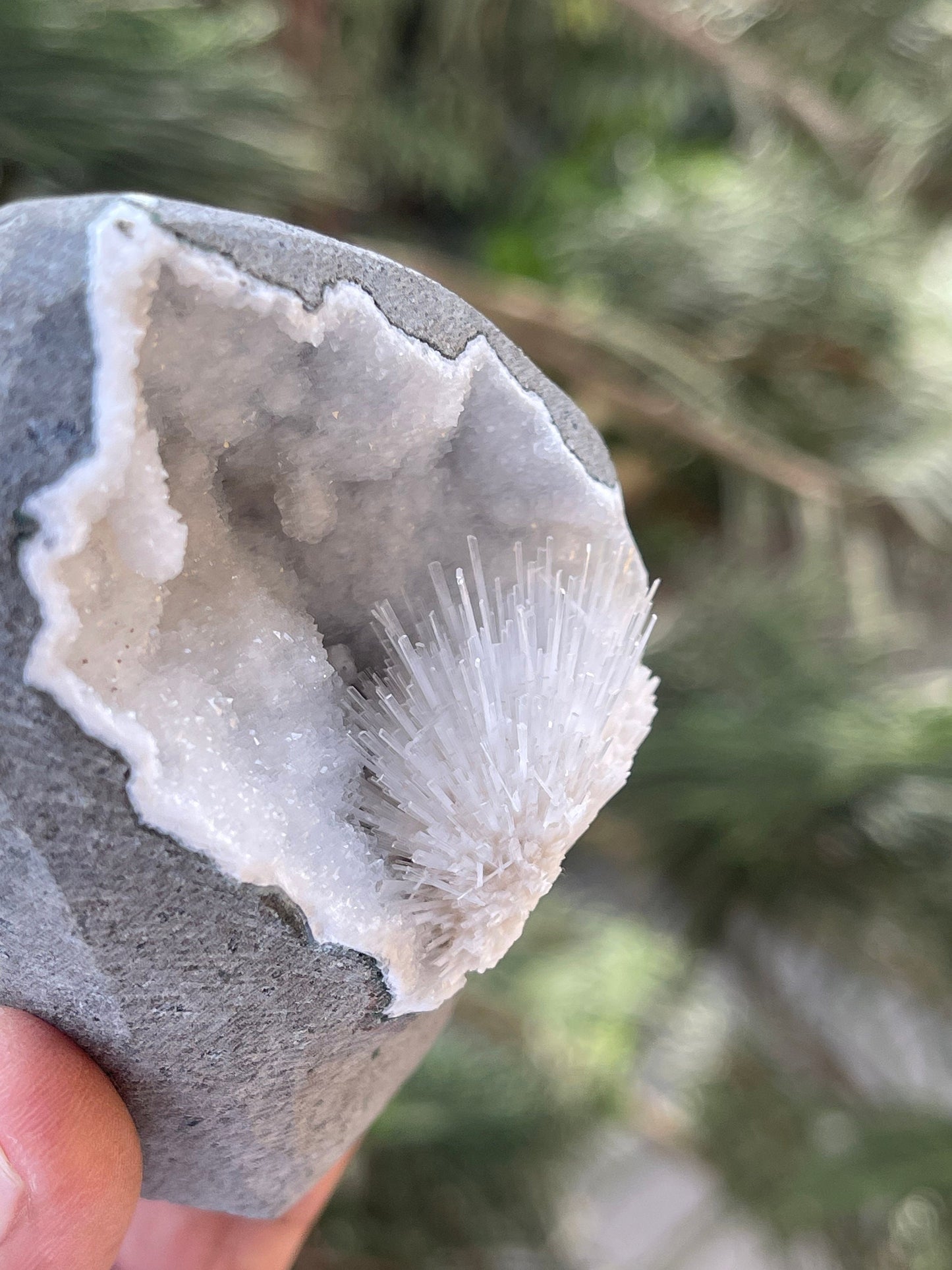 Scolecite flower inside quartz geode