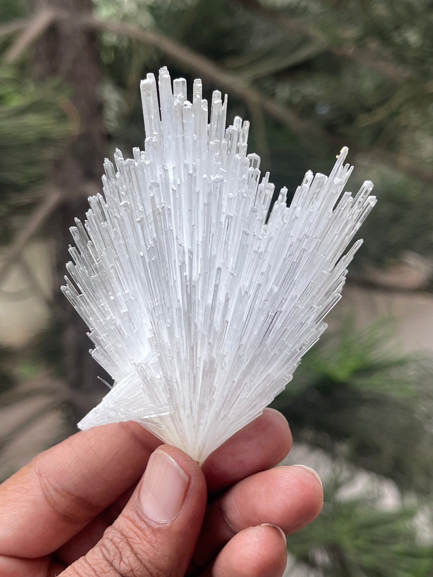 Glossy scolecite flower