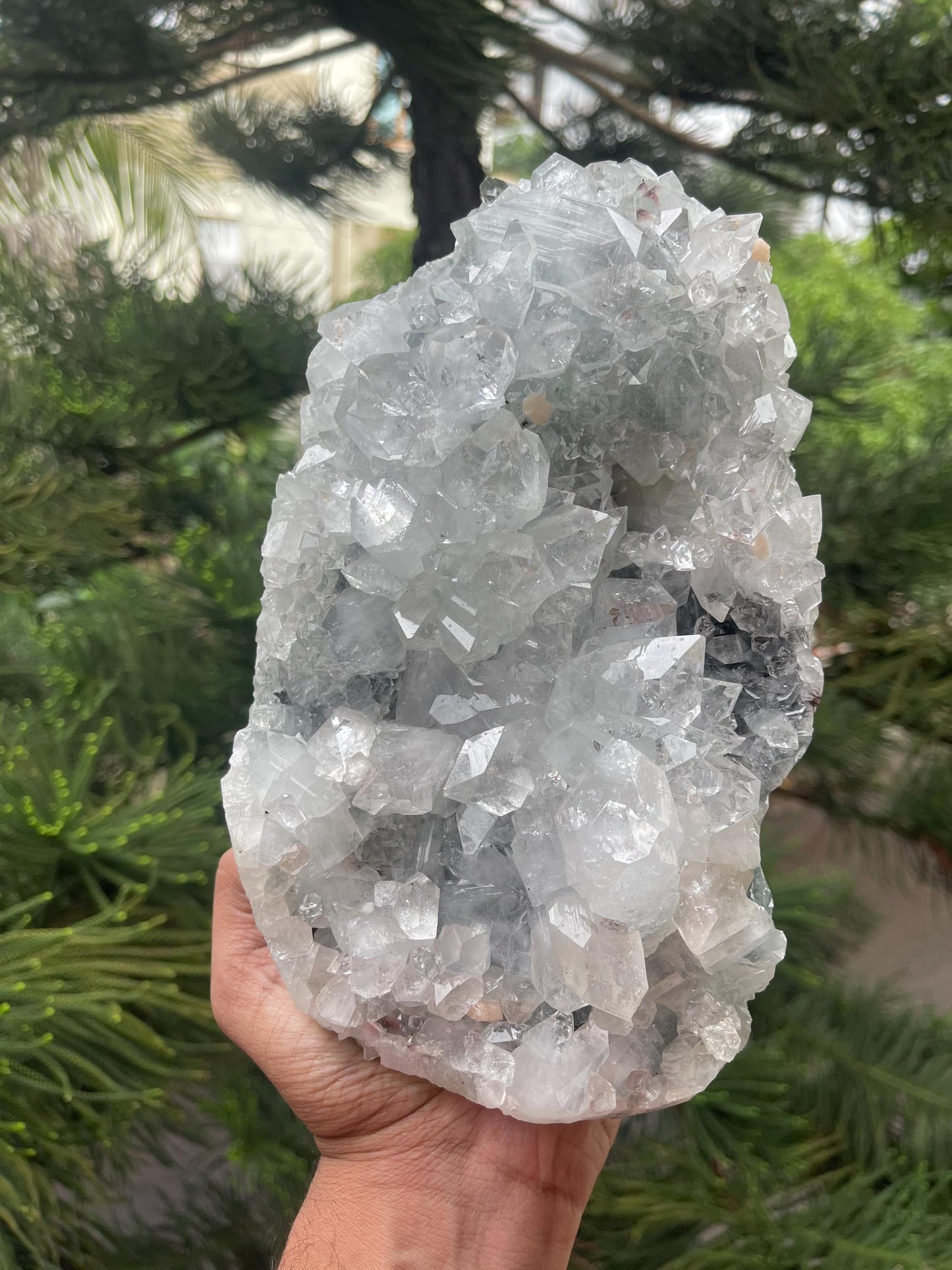 Glossy apophyllite crystal with stilbite on blue chalcedony matrix standing piece