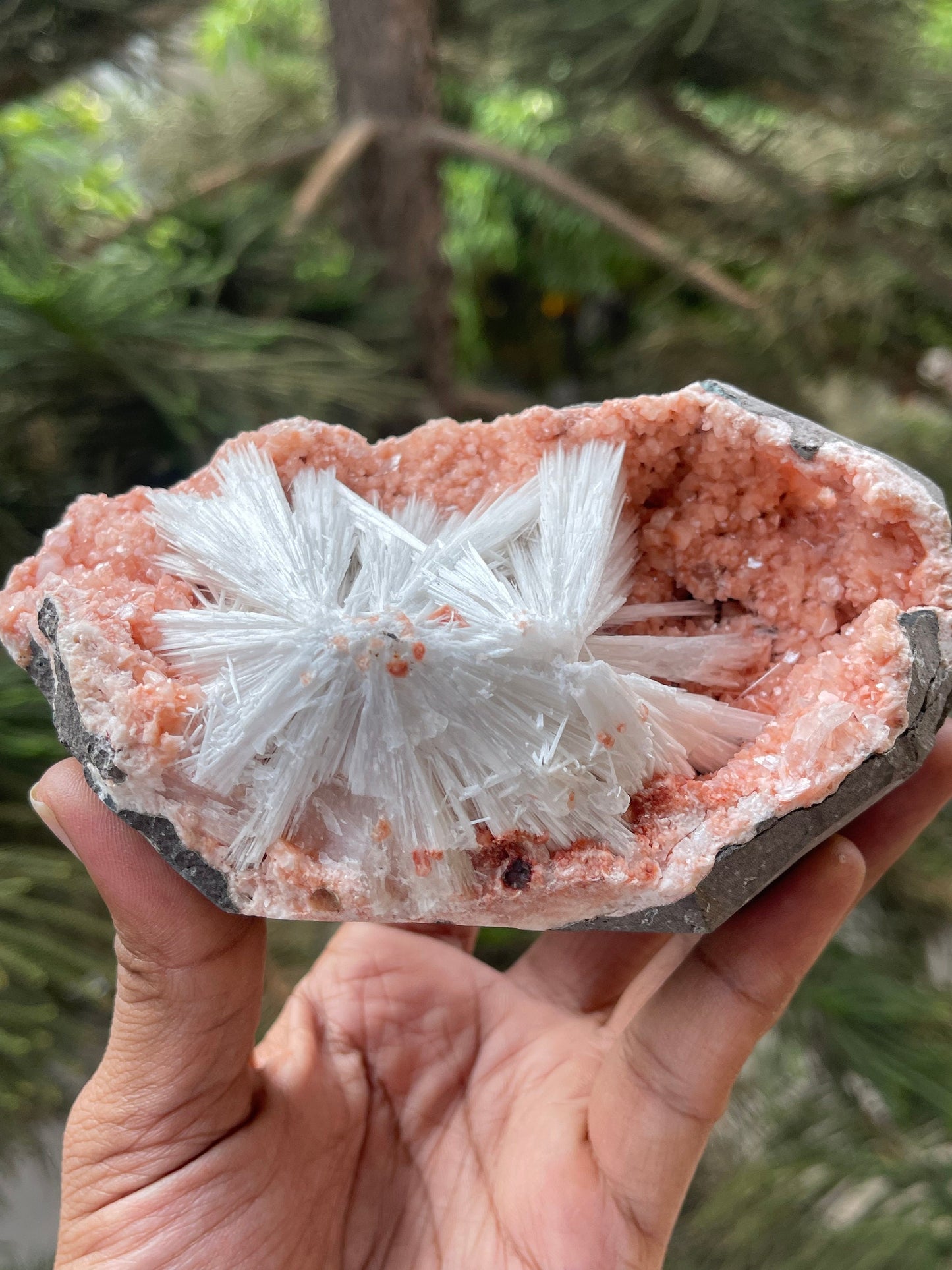 Scolecite sprays on orange heulandite matrix