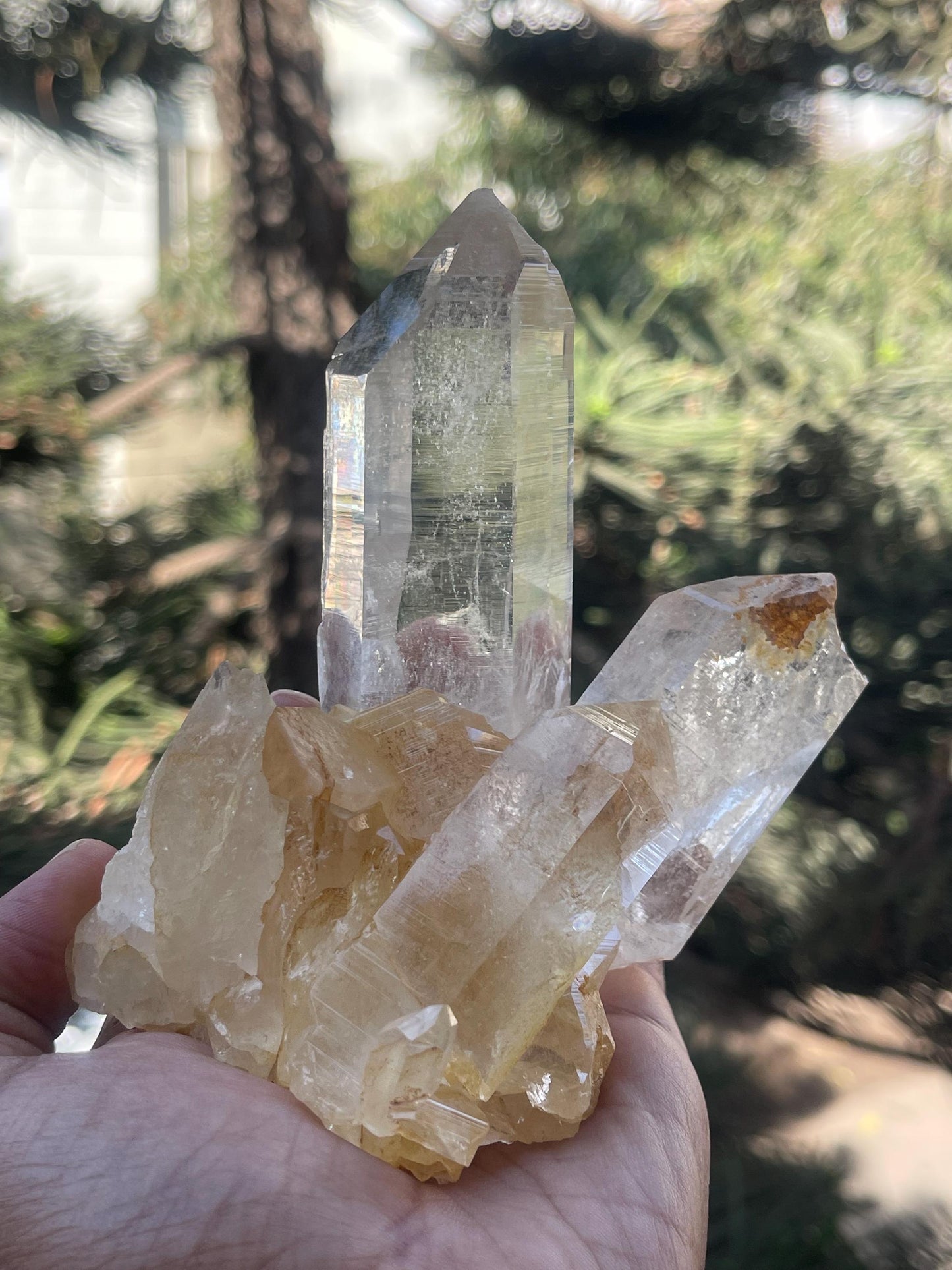 water clear Himalayan cathedral quartz crystal on matrix