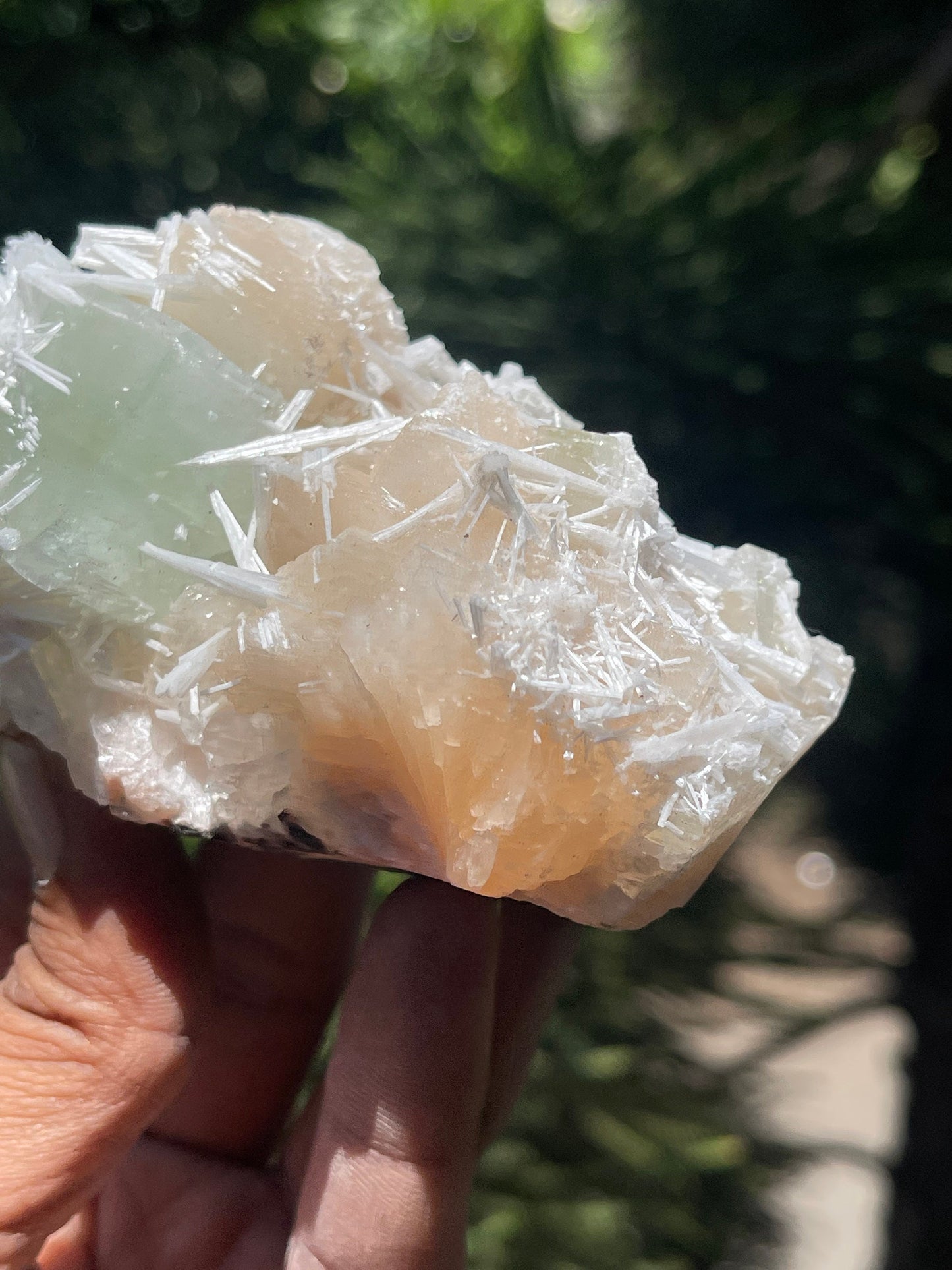 Green apophyllite crystal with stilbites and scolecite