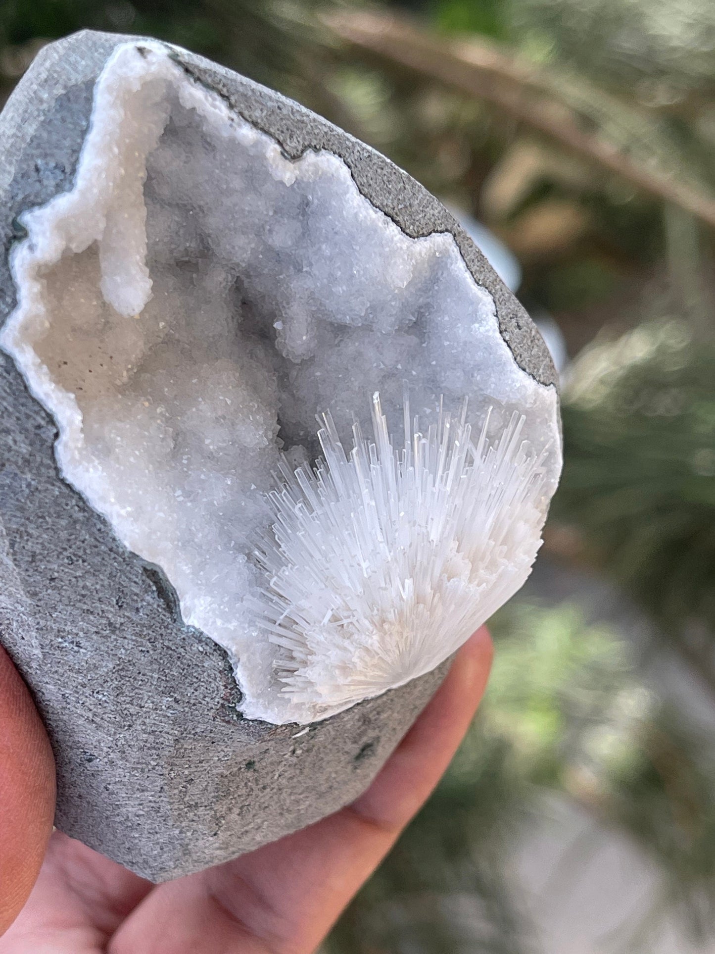 Scolecite flower inside quartz geode