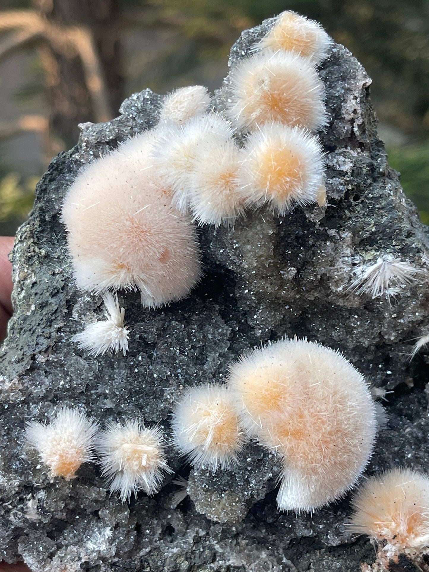 Orange mesolite ball on black matrix