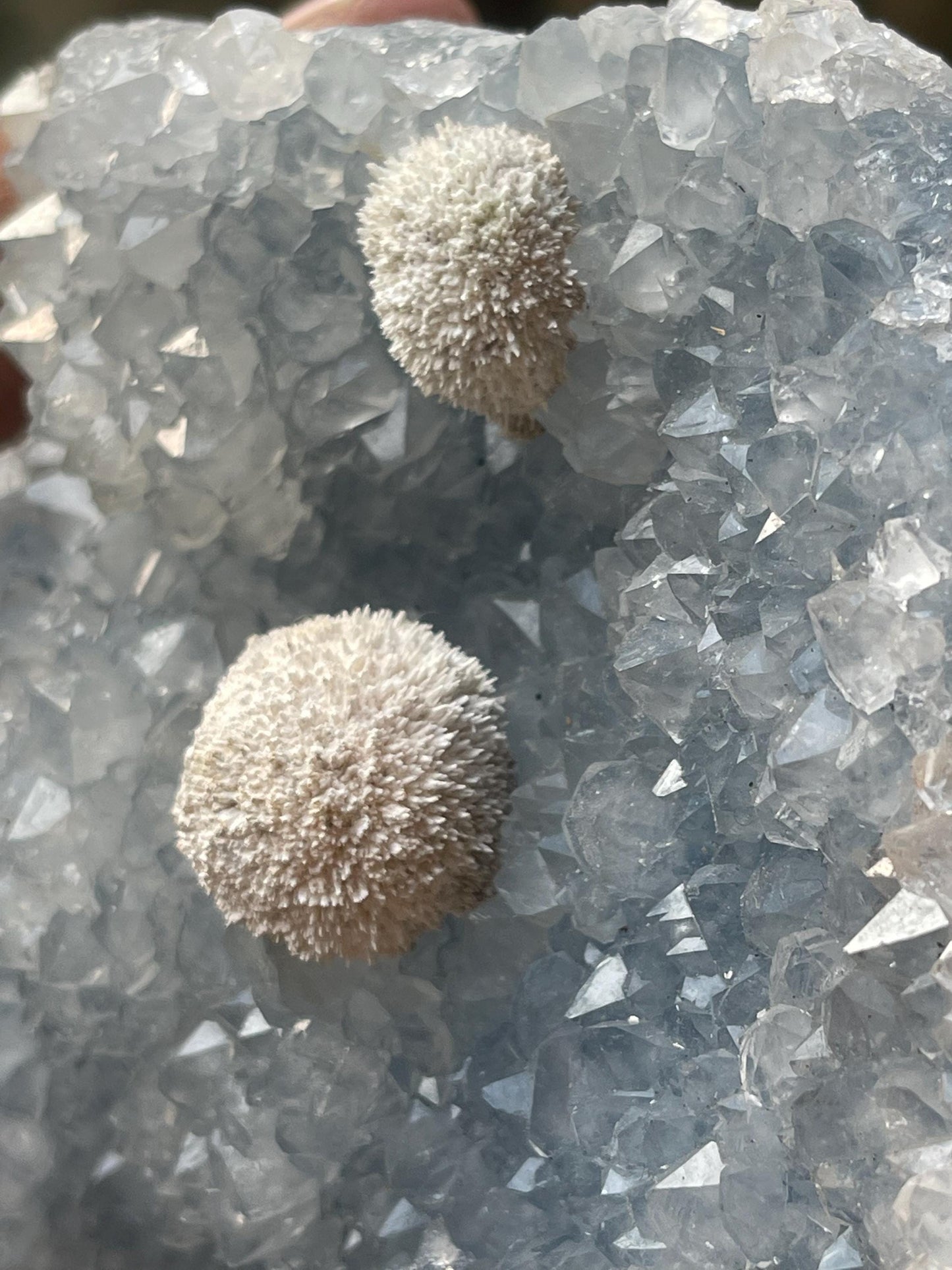 Twin okenite ball on blue quartz