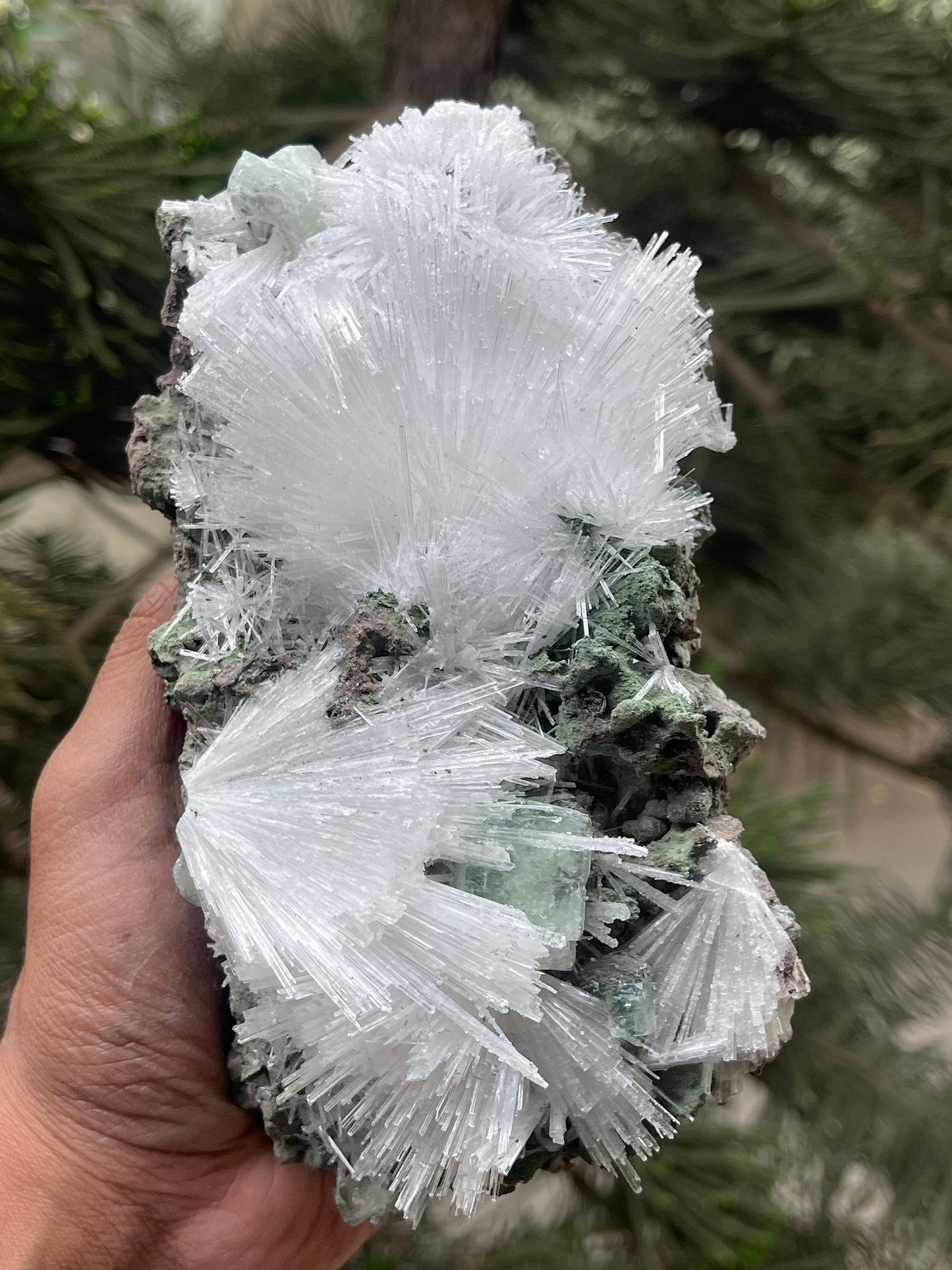 Scolecite flower with green apophyllite crystal on matrix