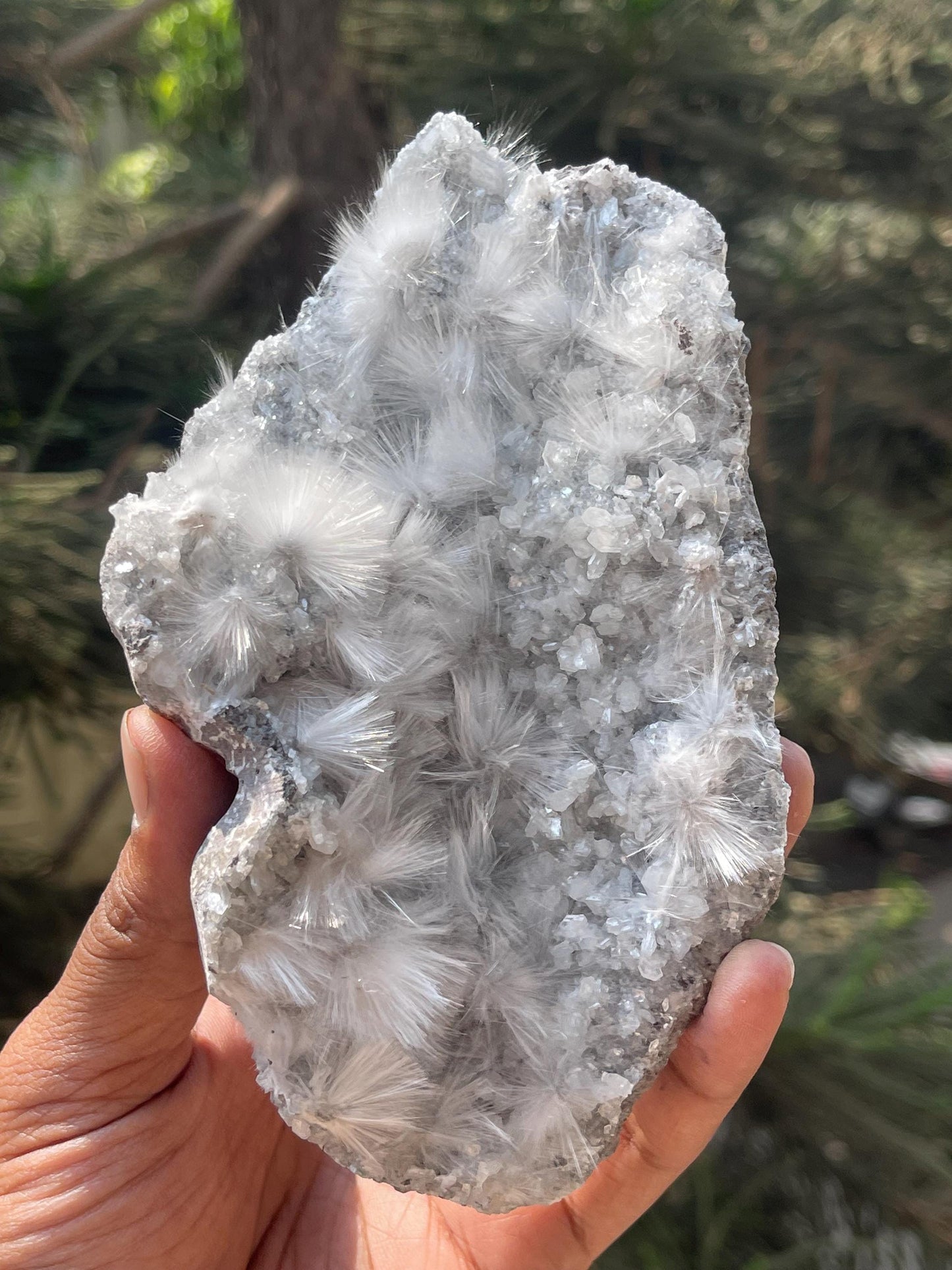 new find mesolite flowers on heulandite matrix