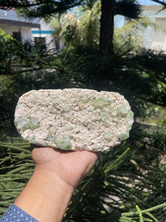Cubicle green apophyllite crystals with stilbite on matrix