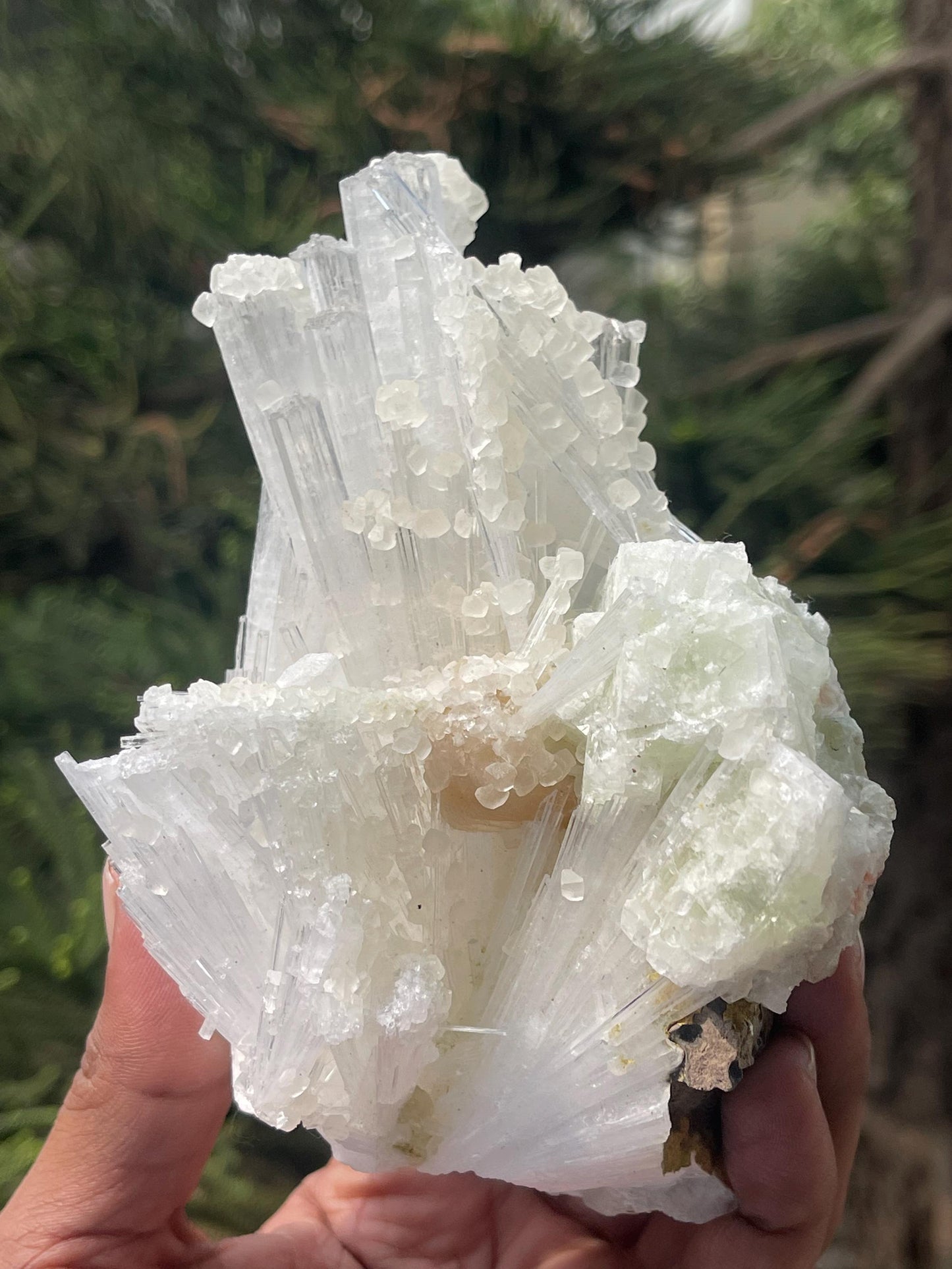 Combination of calcite/stilbite/green apophyllite on scolecite crystal