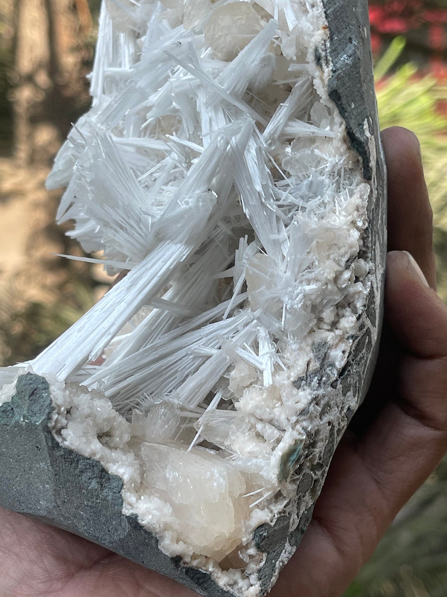Shiney scolecite spray with stilbite/heulandite base