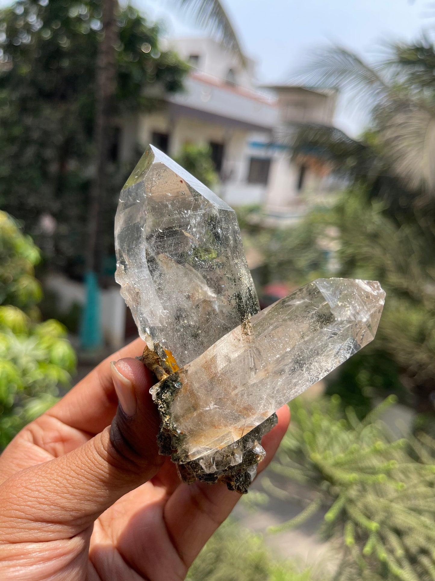 Twin Himalayan Chlorite Quartz Crystal with golden rutile