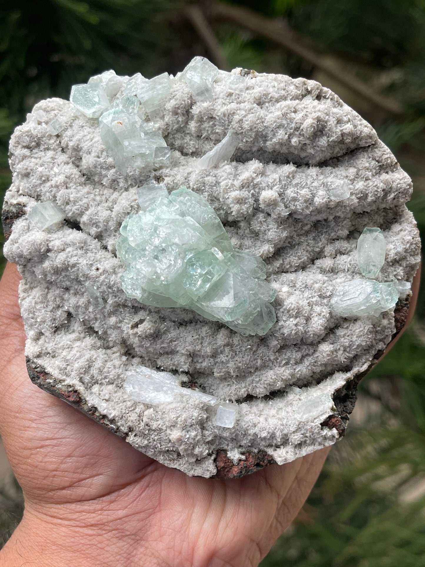 Green apophyllite crystal on chalcedony matrix