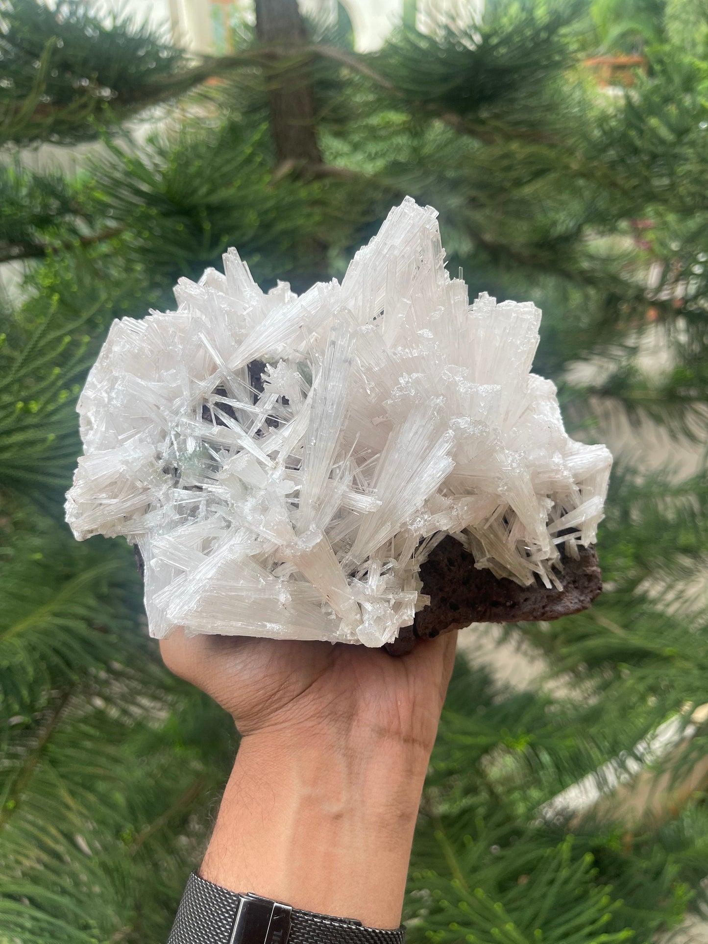 Scolecite spray on matrix with green apophyllite