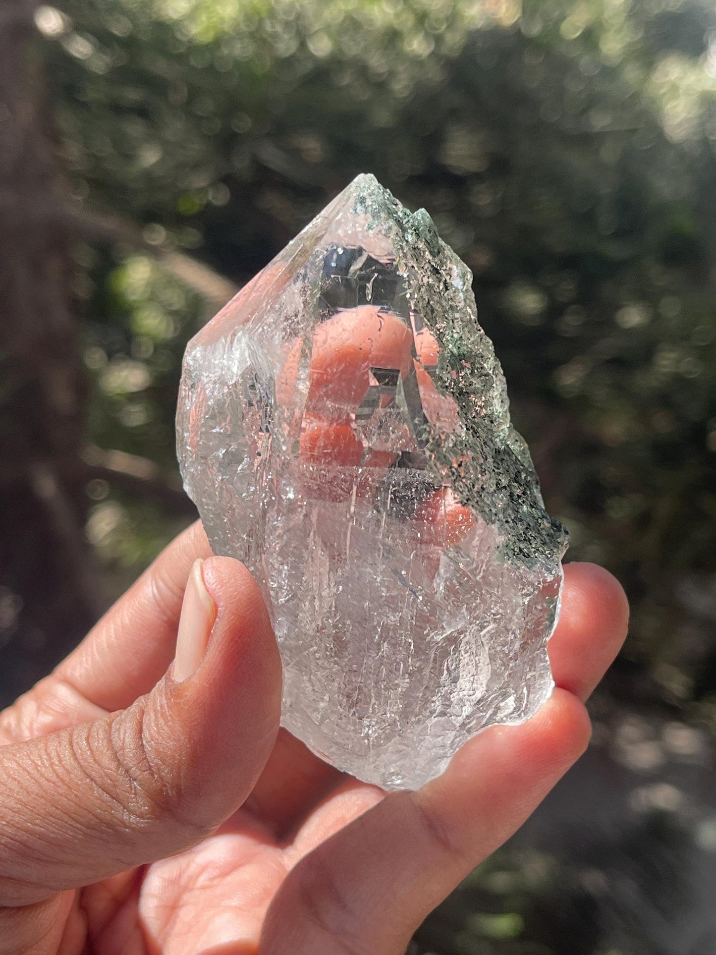 Rare Himalayan Cathedral Quartz Crystal with Green Chlorite – High-Energy Healing crystal