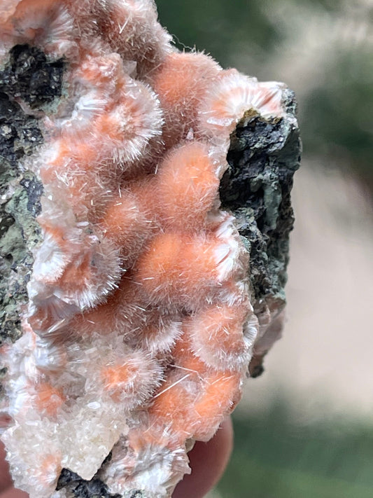 Orange mesolite