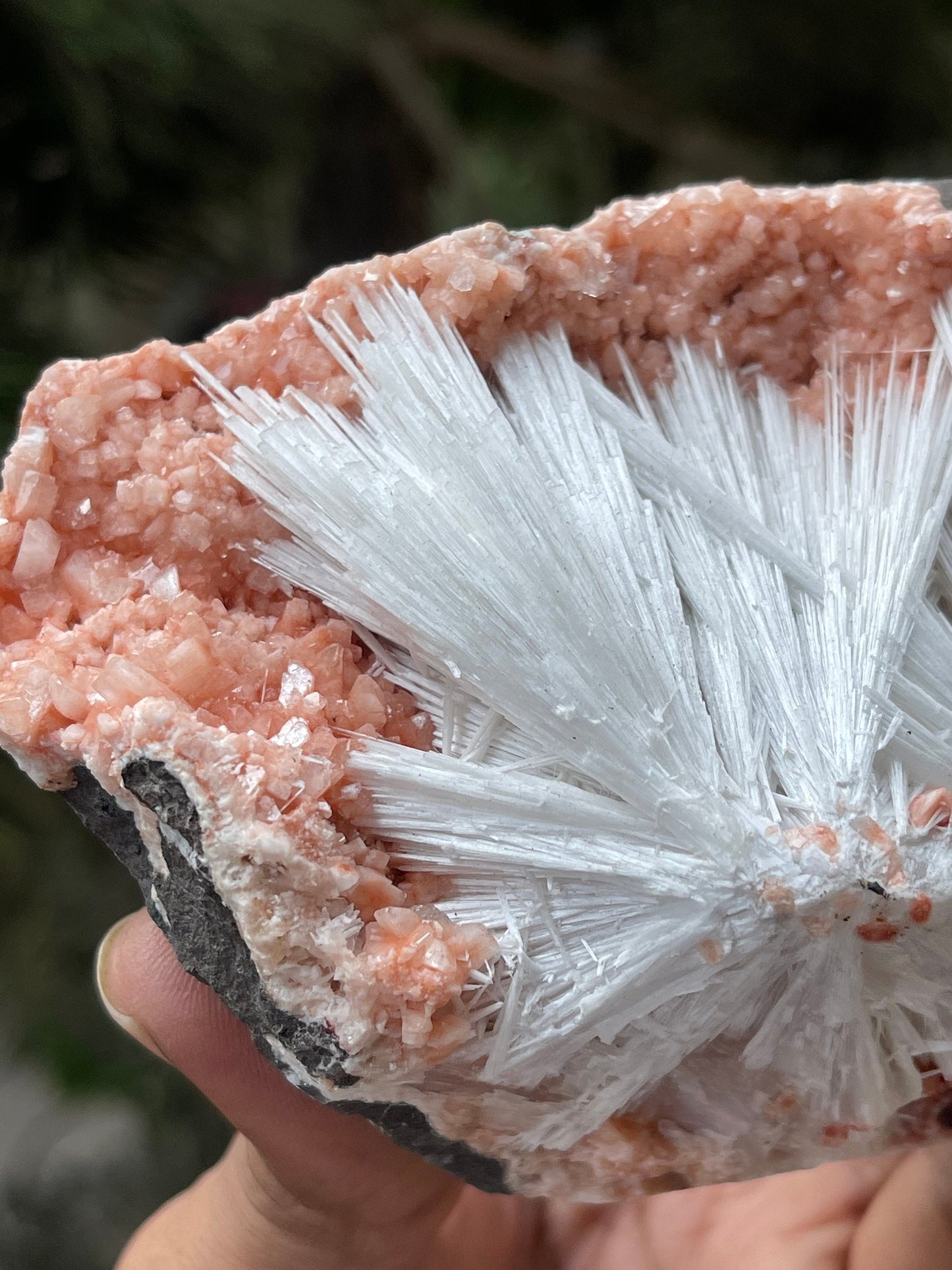 Scolecite sprays on orange heulandite matrix