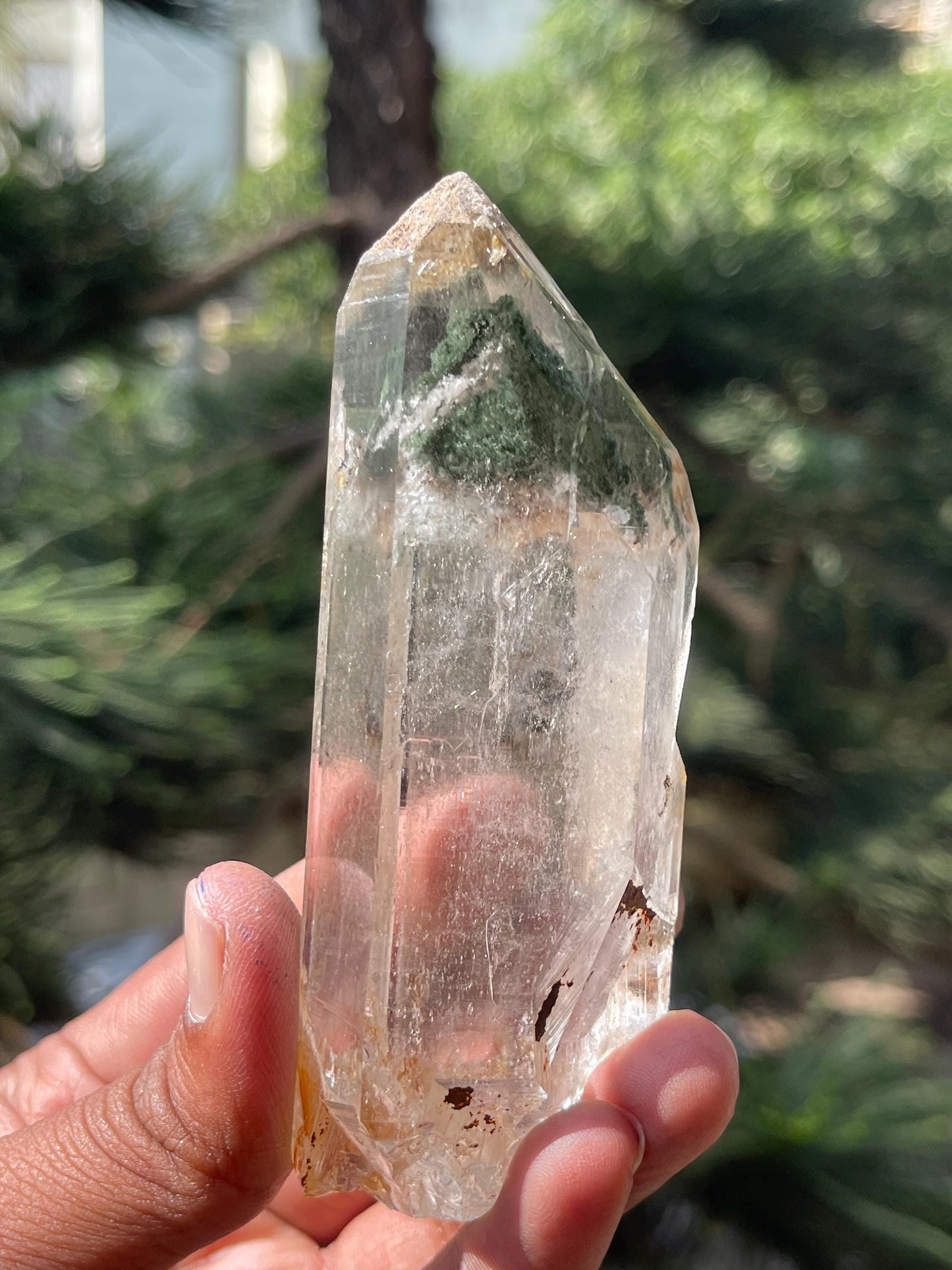 Himalayan Natural Green Chlorite Quartz Crystal/ Clear Meditation Collection