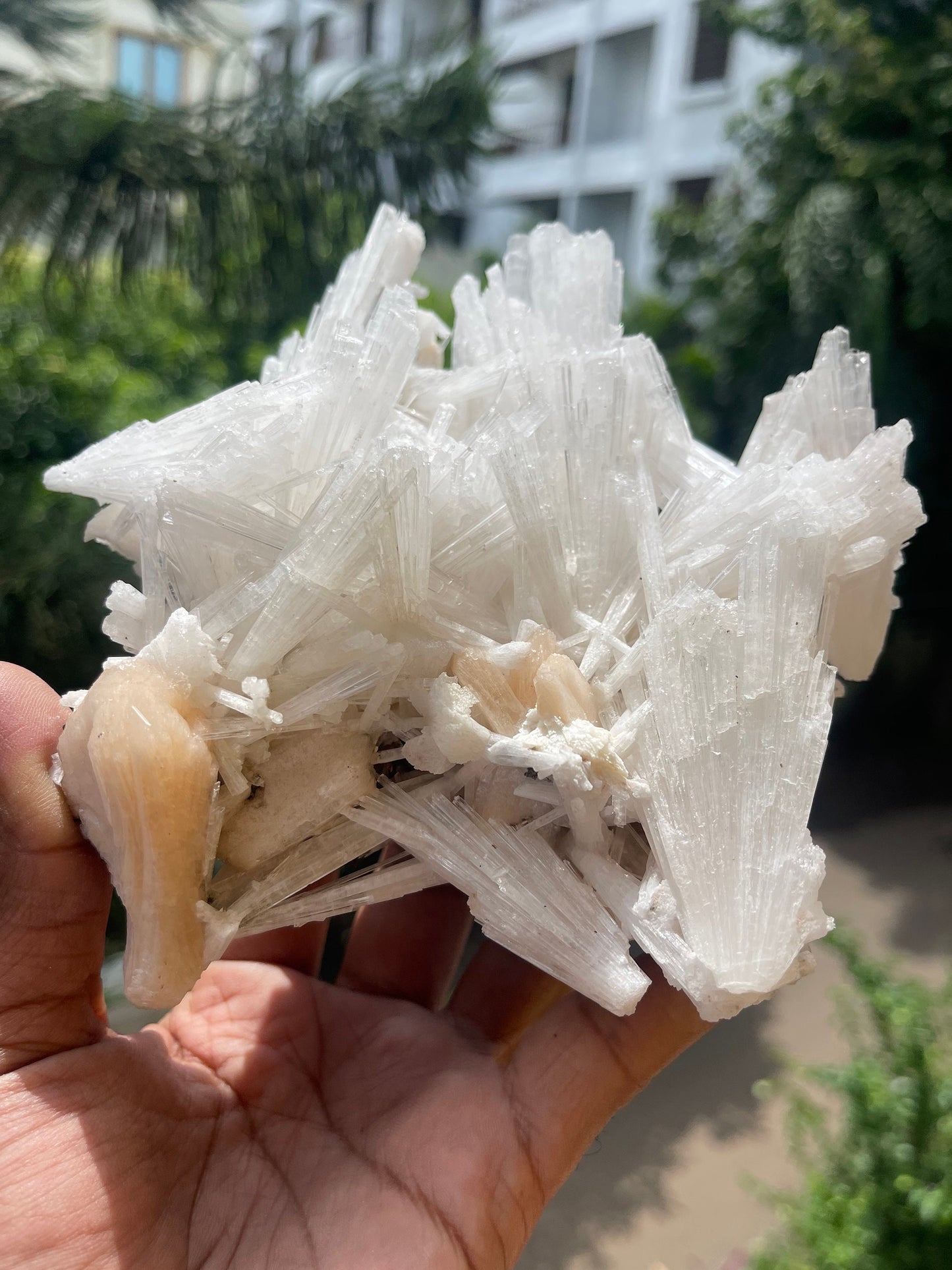 Scolecite crystal with stilbite