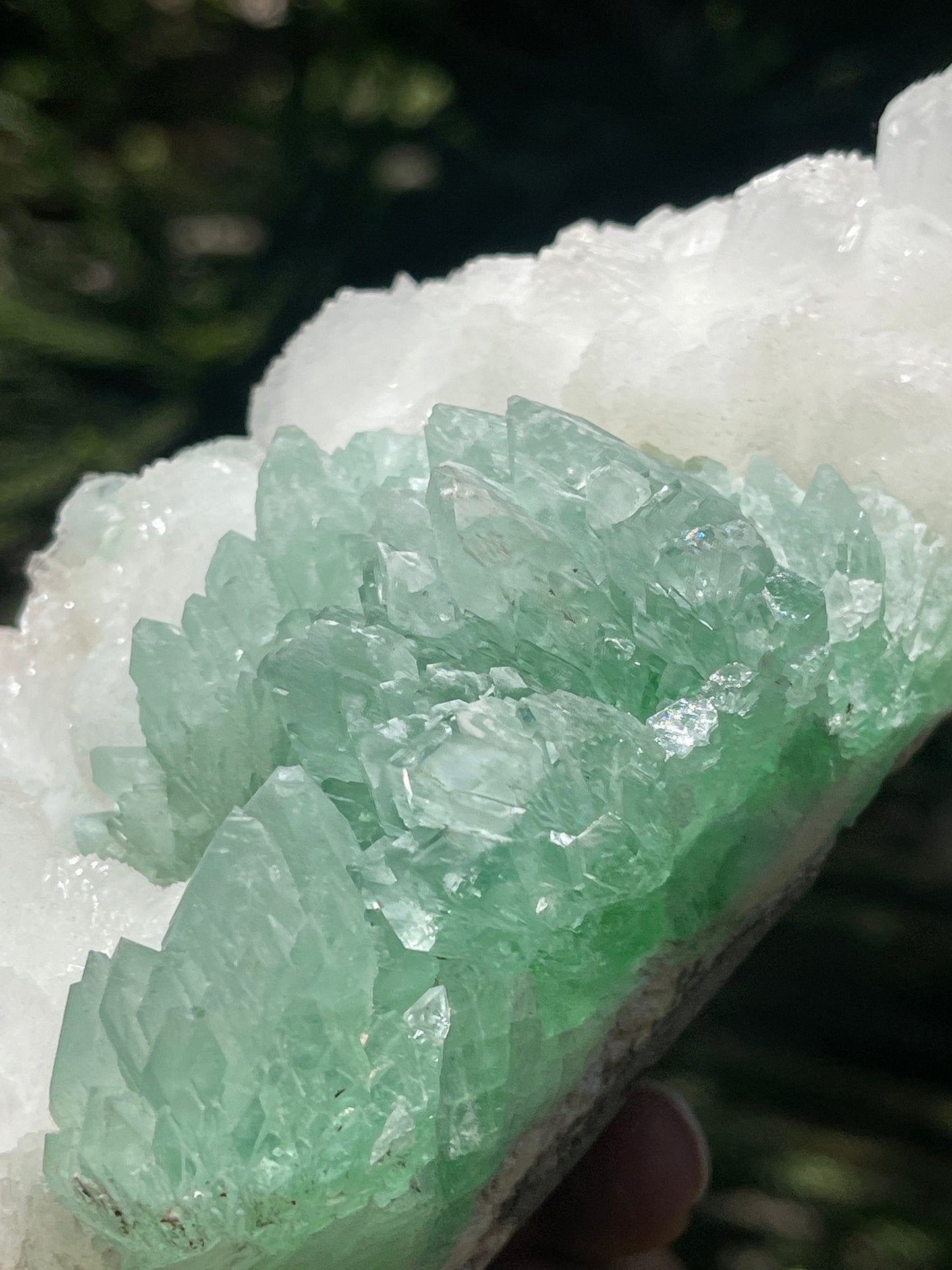 Green apophyllite flower with glossy stilbite natural specimens